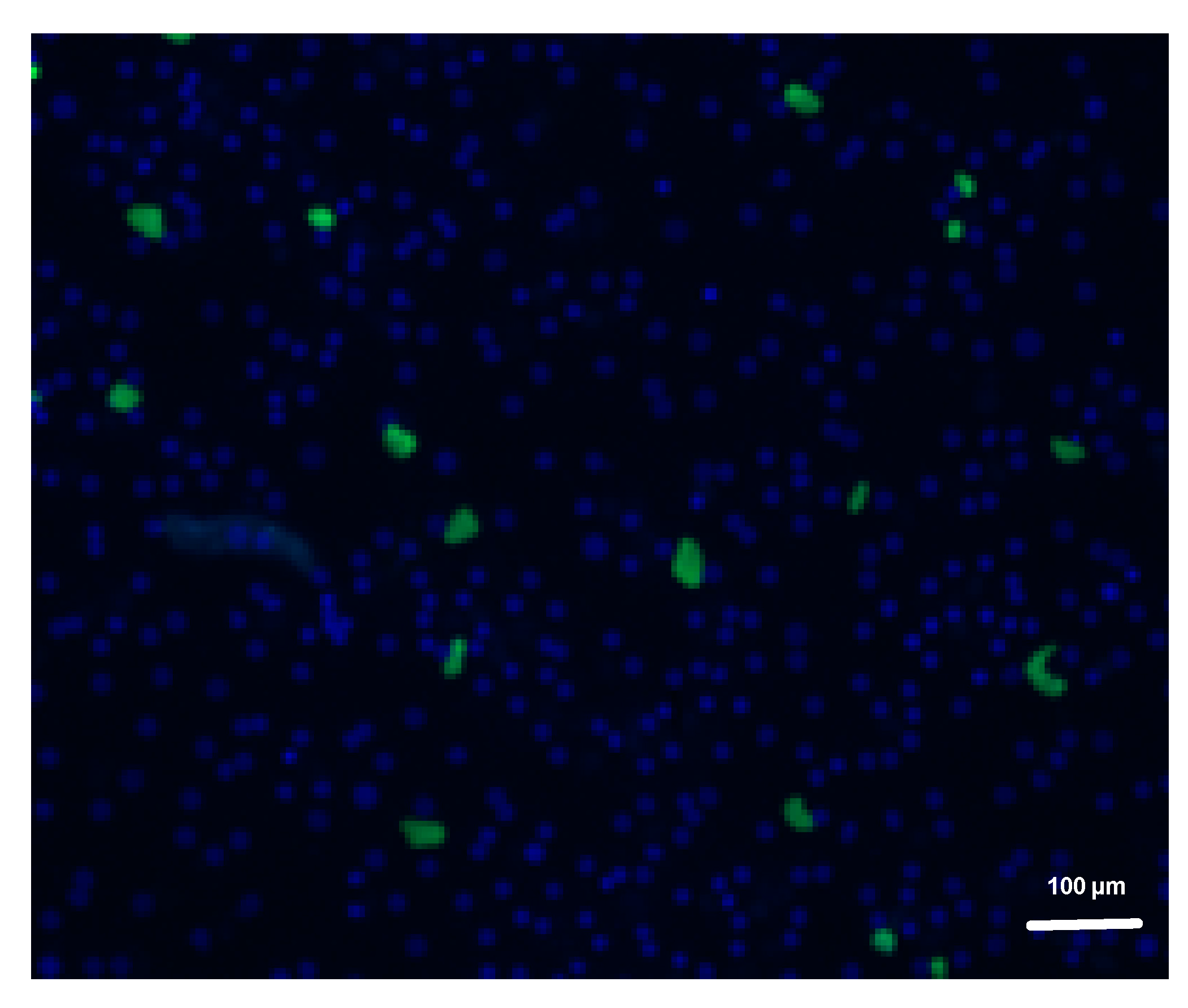 Pharmaceutics 14 02794 g0a3