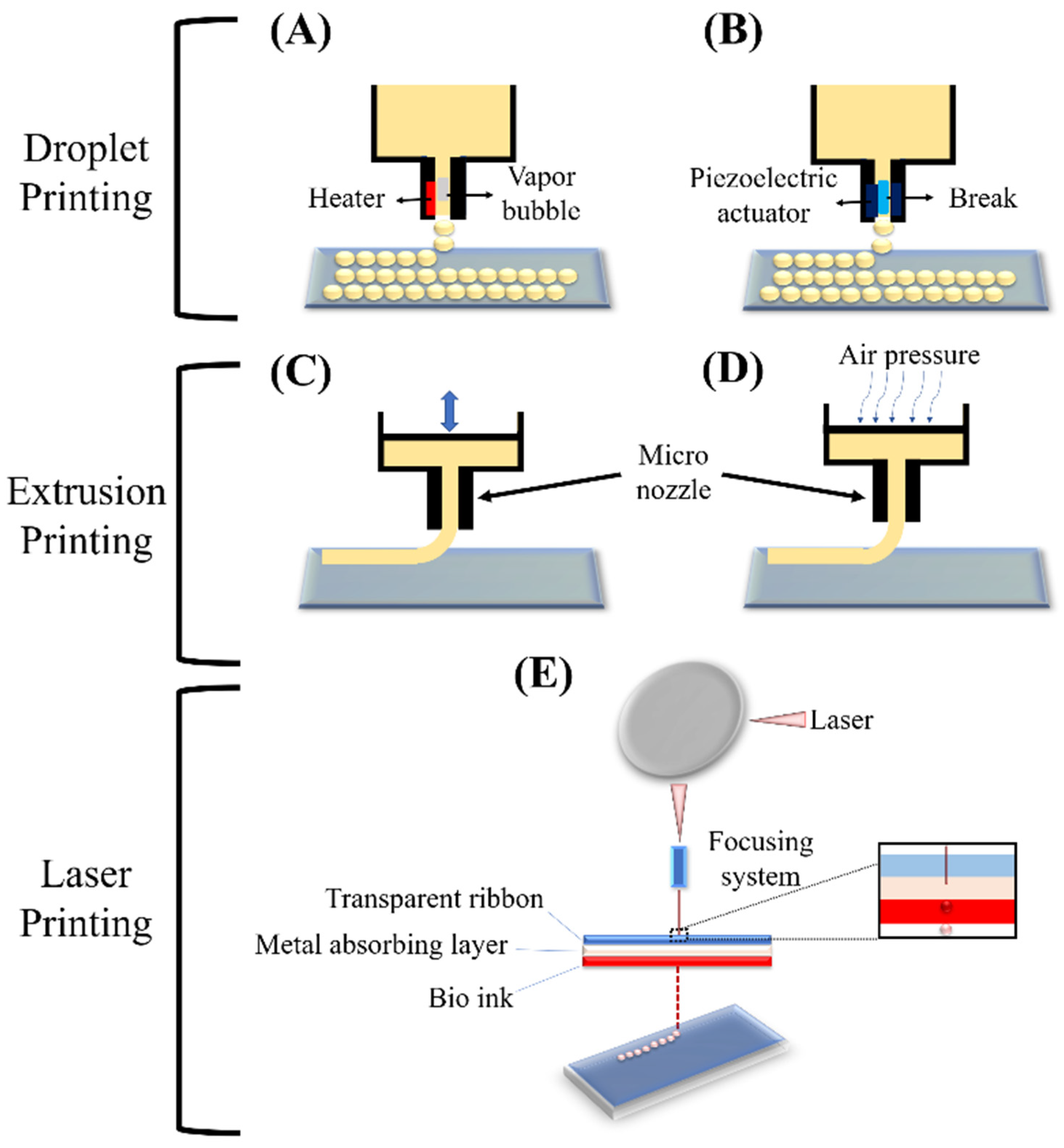 Pharmaceutics 14 02797 g005 Pharmaceutics 14 02797 g005