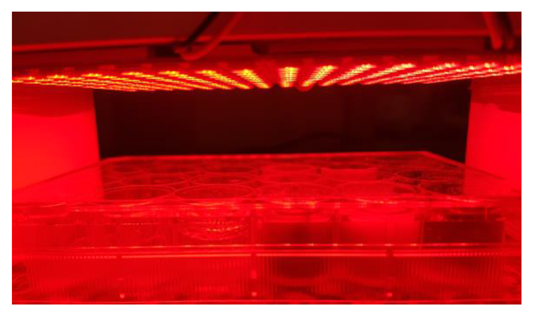 Pharmaceutics 14 02798 g002 Pharmaceutics 14 02798 g002