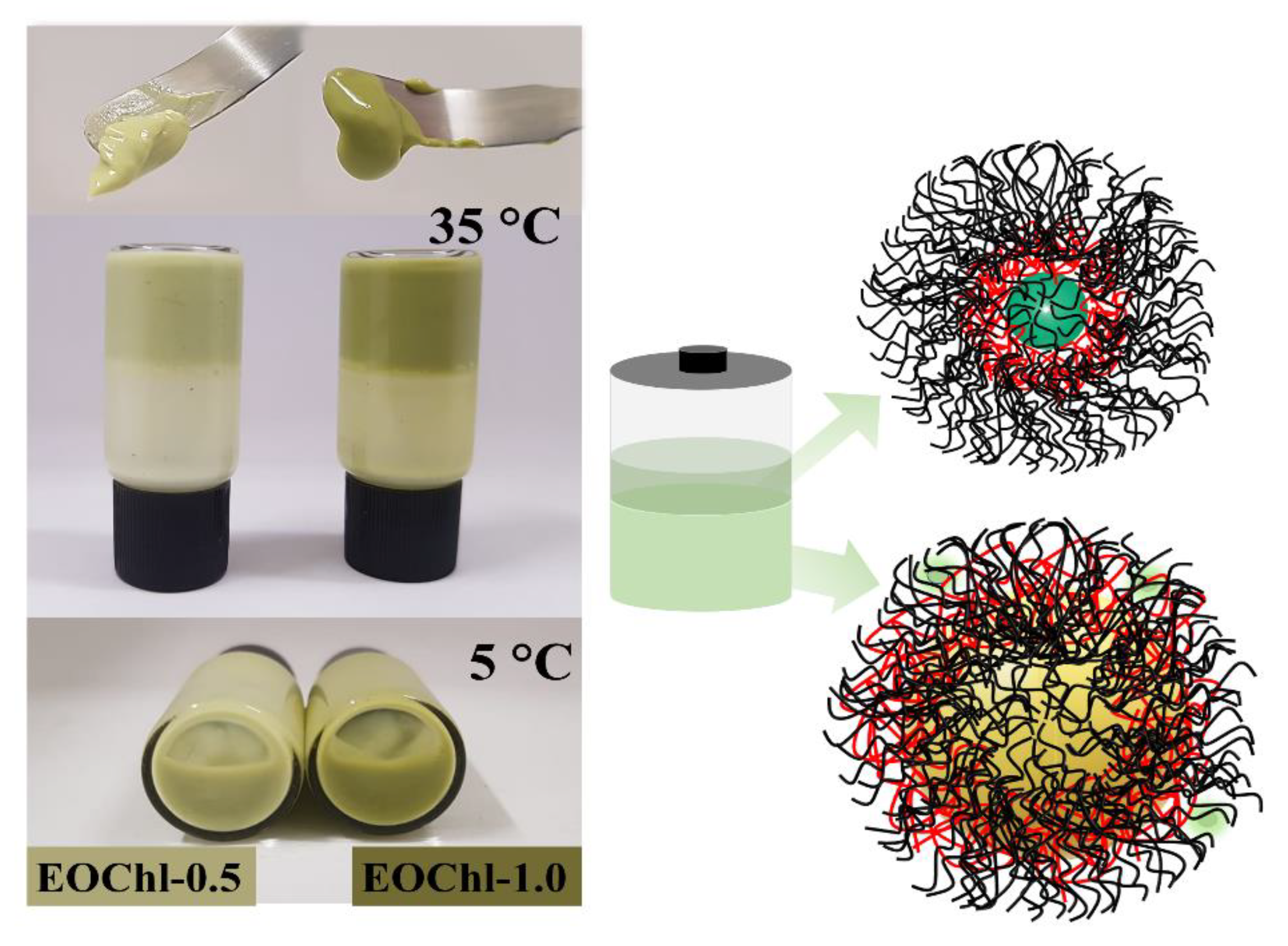 Pharmaceutics 14 02798 g003 Pharmaceutics 14 02798 g003