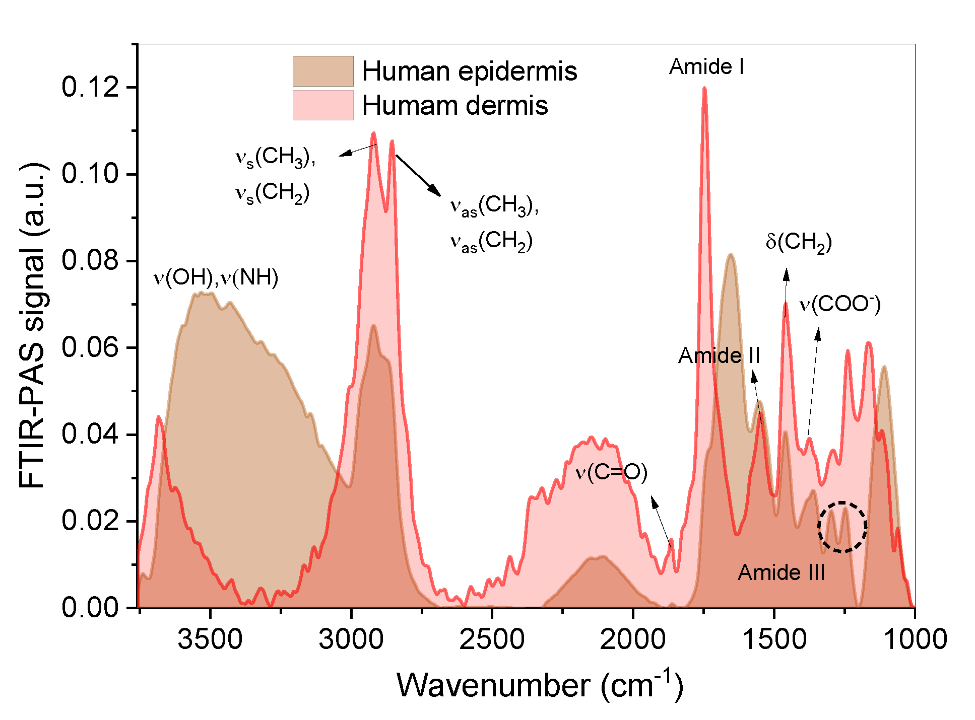 Pharmaceutics 14 02798 g007 Pharmaceutics 14 02798 g007