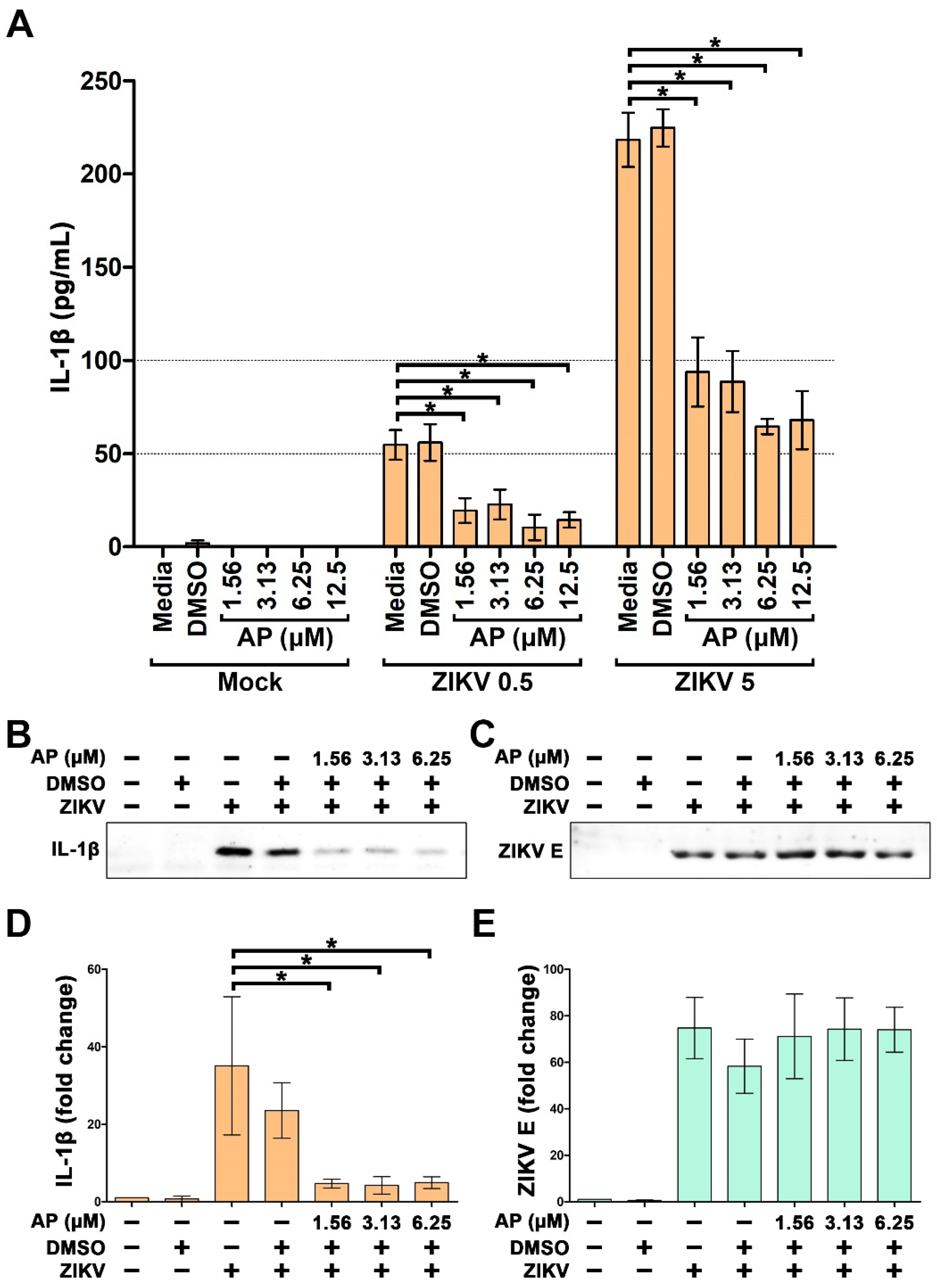 Pharmaceutics 14 02800 g002 Pharmaceutics 14 02800 g002