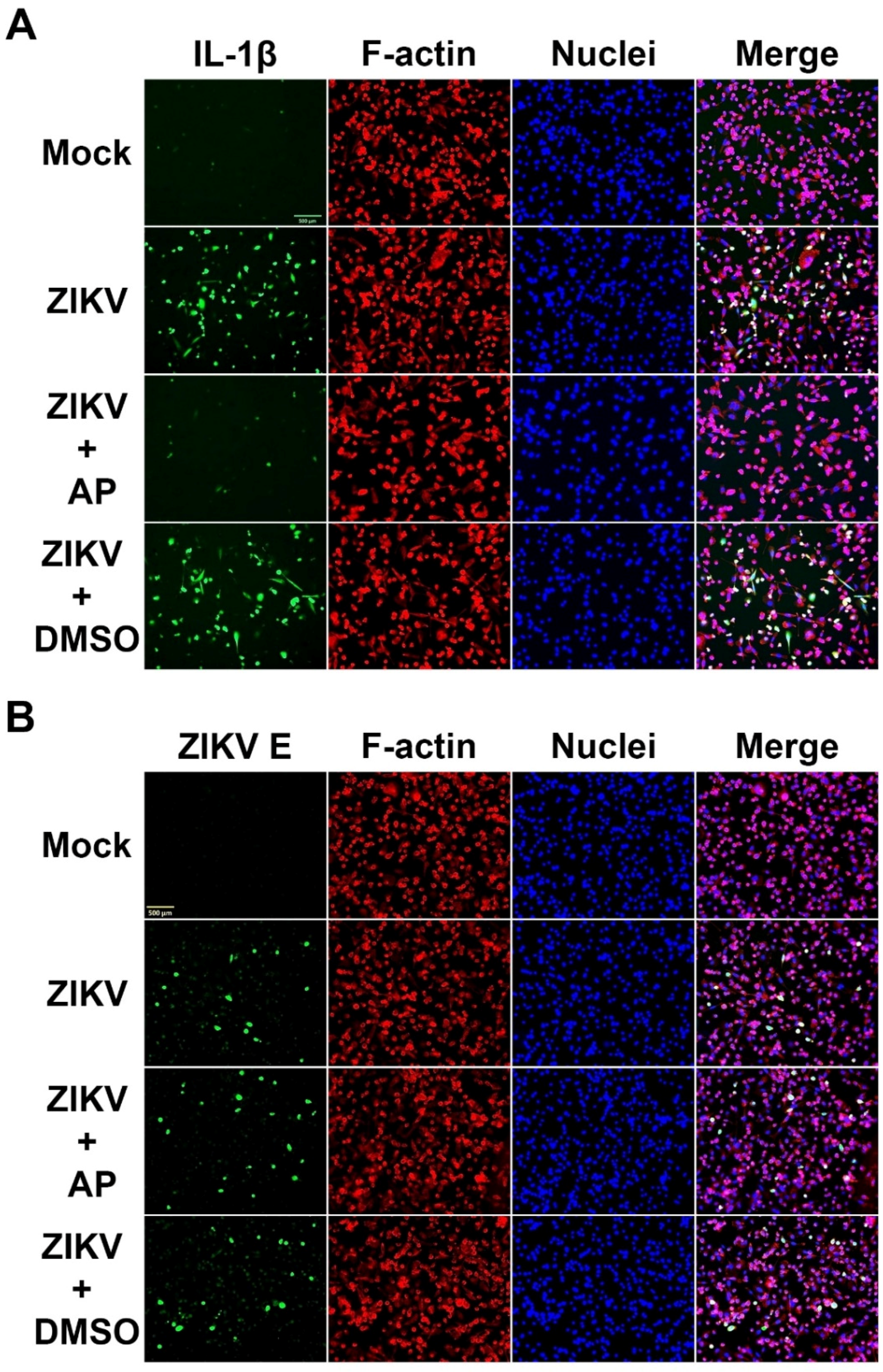 Pharmaceutics 14 02800 g004 Pharmaceutics 14 02800 g004