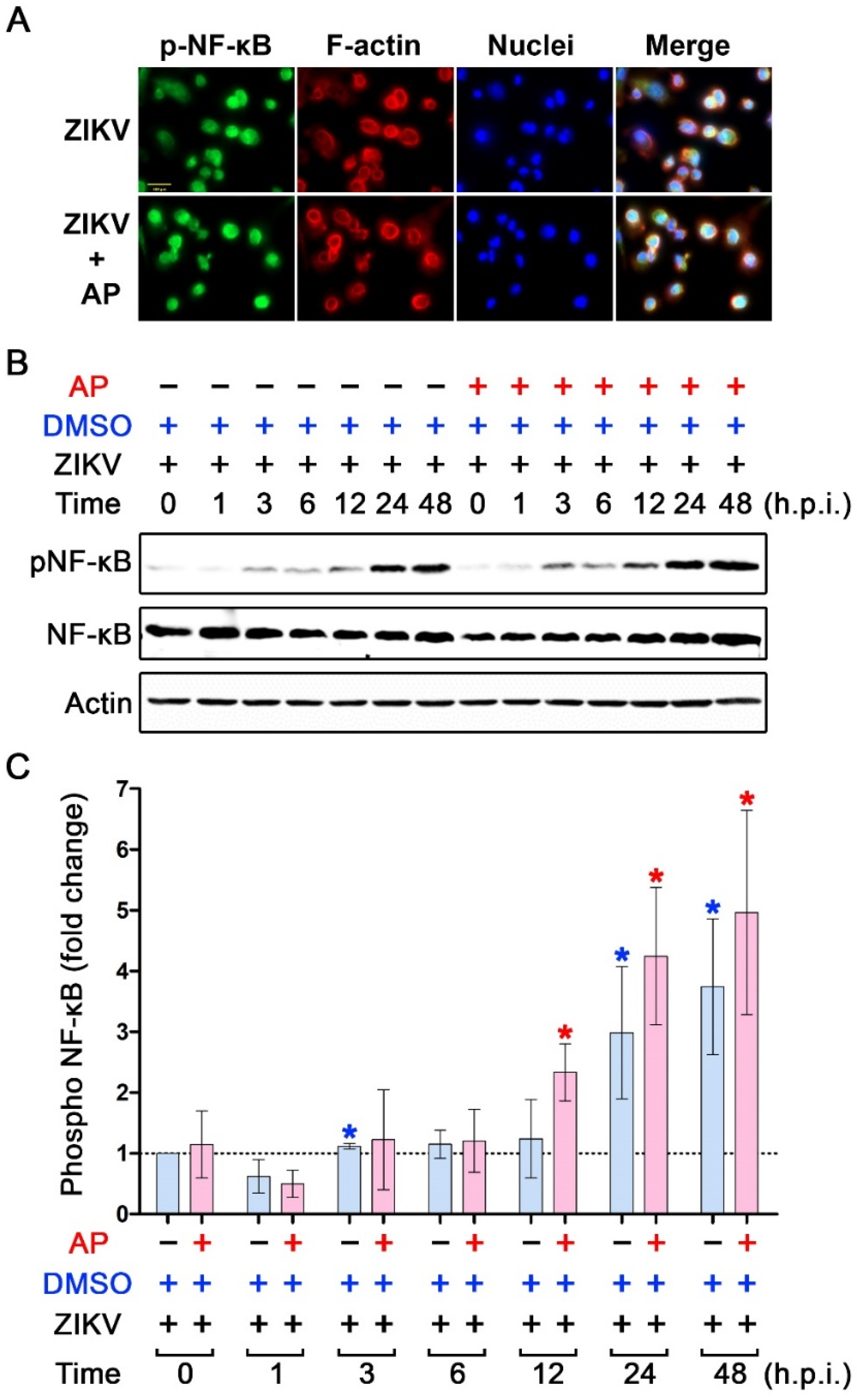 Pharmaceutics 14 02800 g006 Pharmaceutics 14 02800 g006