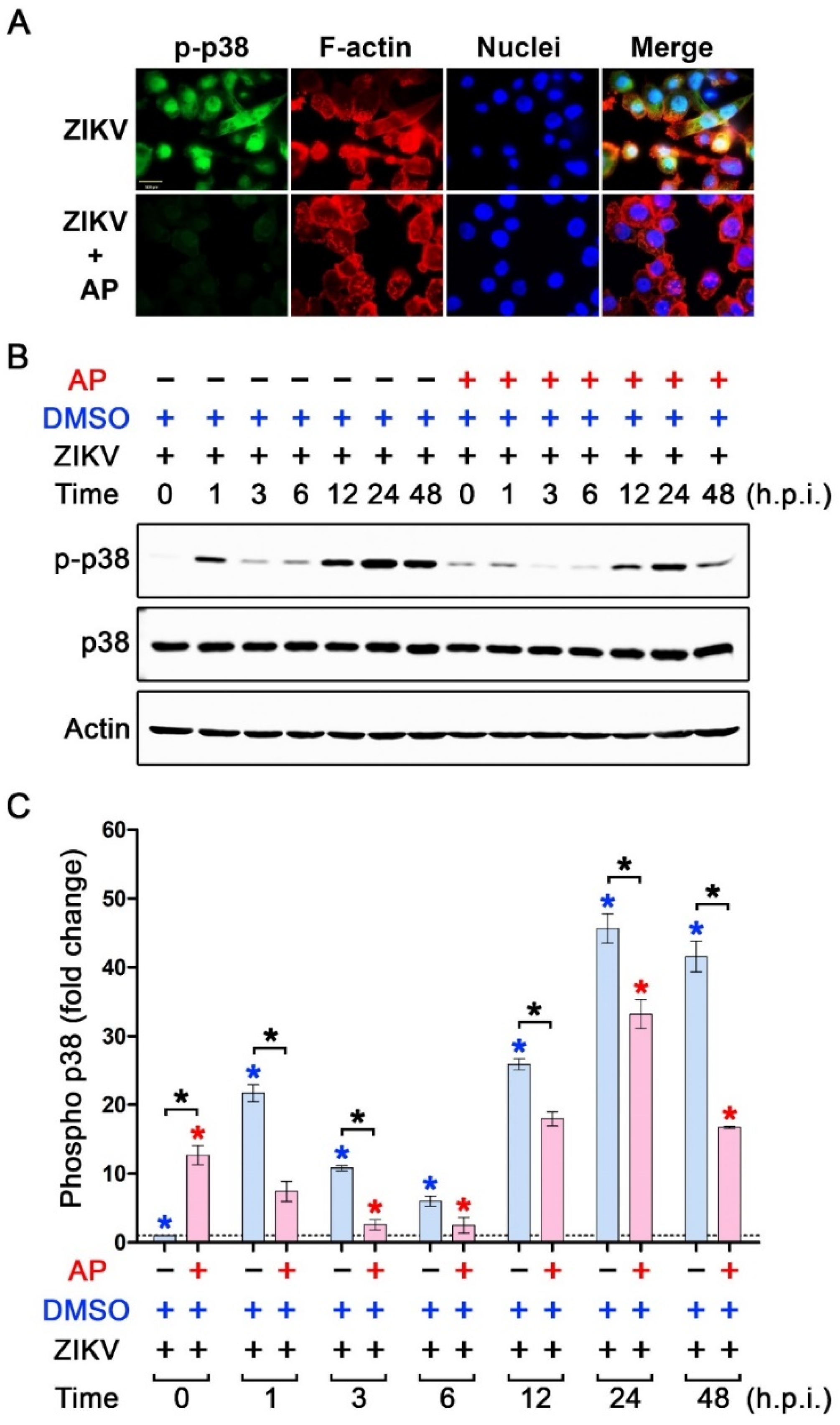 Pharmaceutics 14 02800 g007 Pharmaceutics 14 02800 g007
