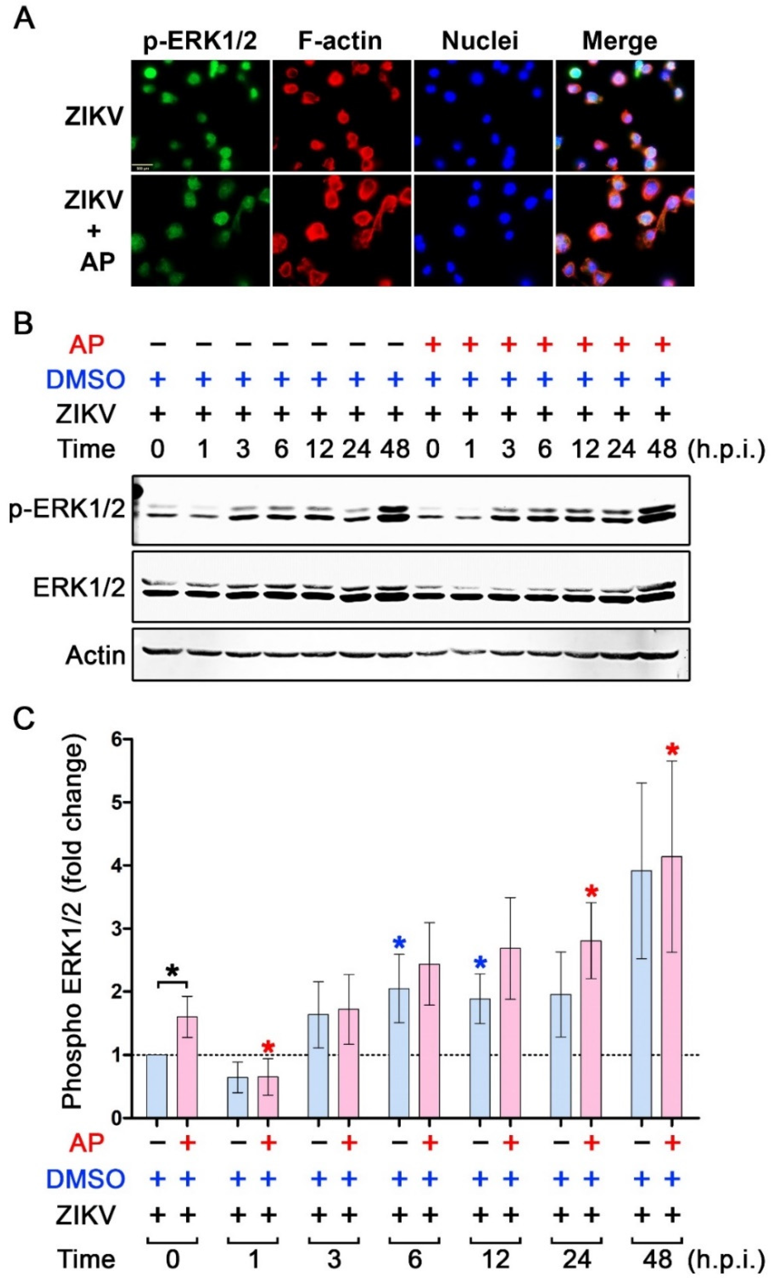 Pharmaceutics 14 02800 g008 Pharmaceutics 14 02800 g008