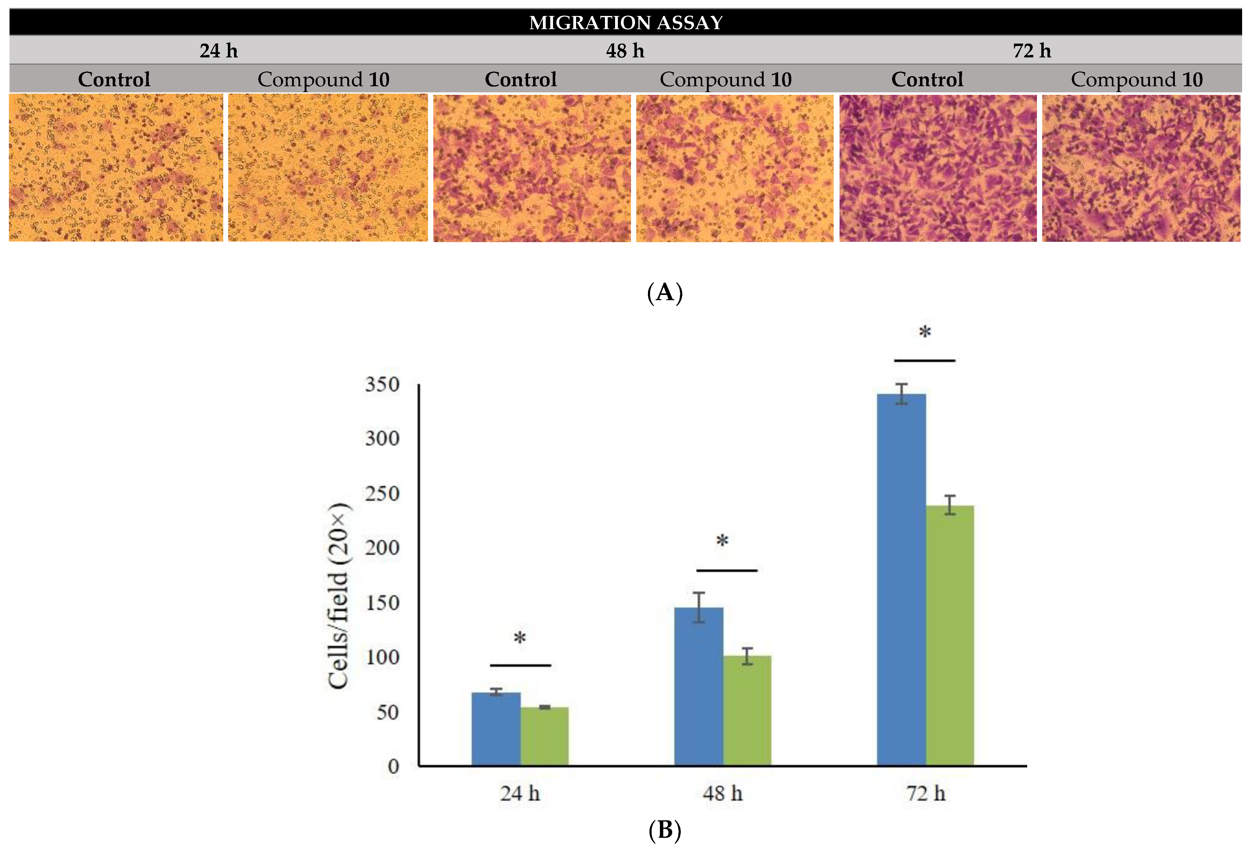 Pharmaceutics 14 02801 g005 Pharmaceutics 14 02801 g005