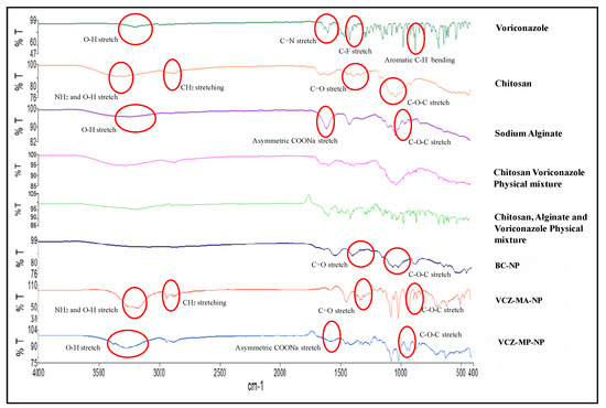 Preparation and Evaluation of Modified Chitosan Nanoparticles Using ...