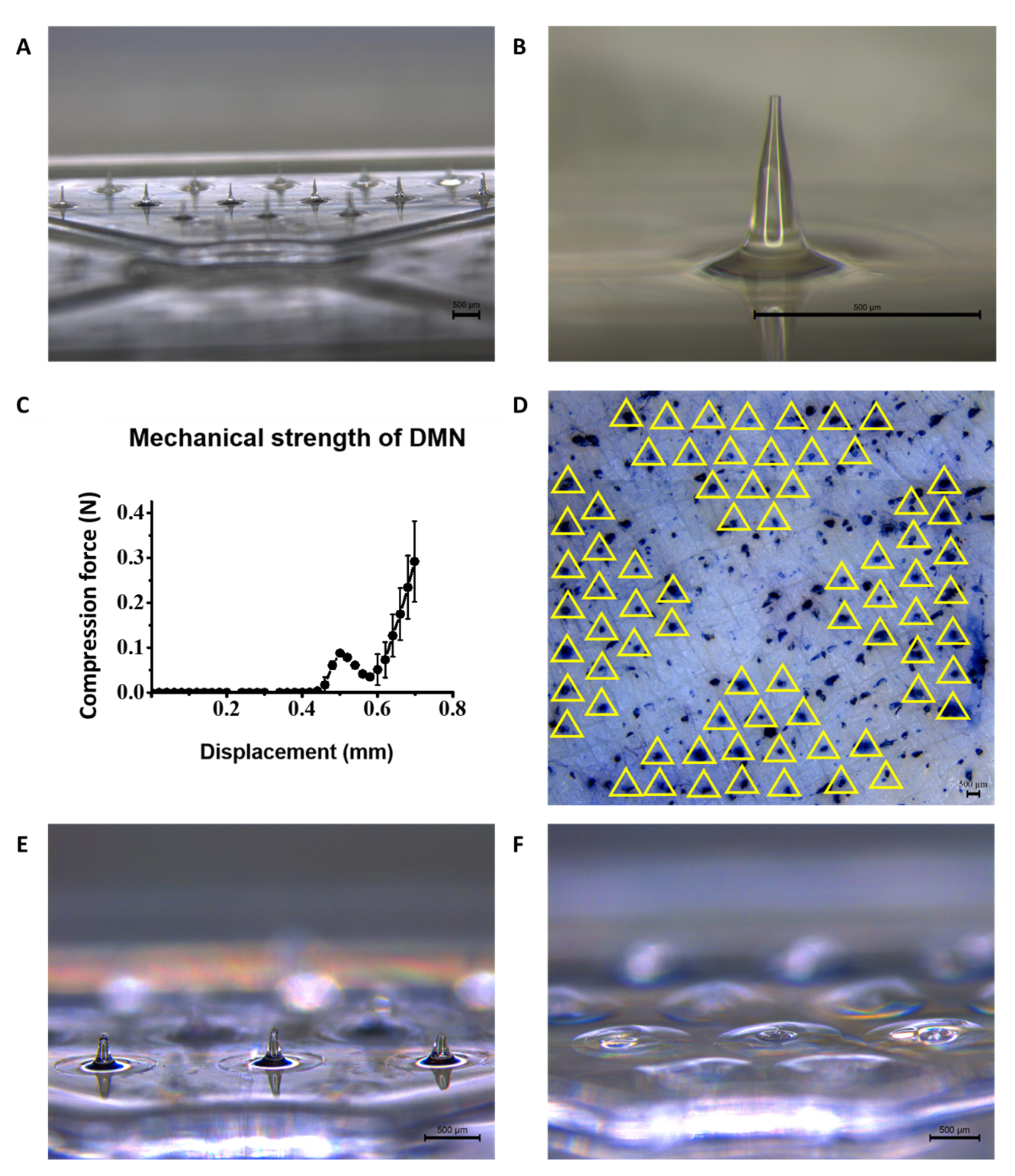 Pharmaceutics 14 02804 g002 Pharmaceutics 14 02804 g002