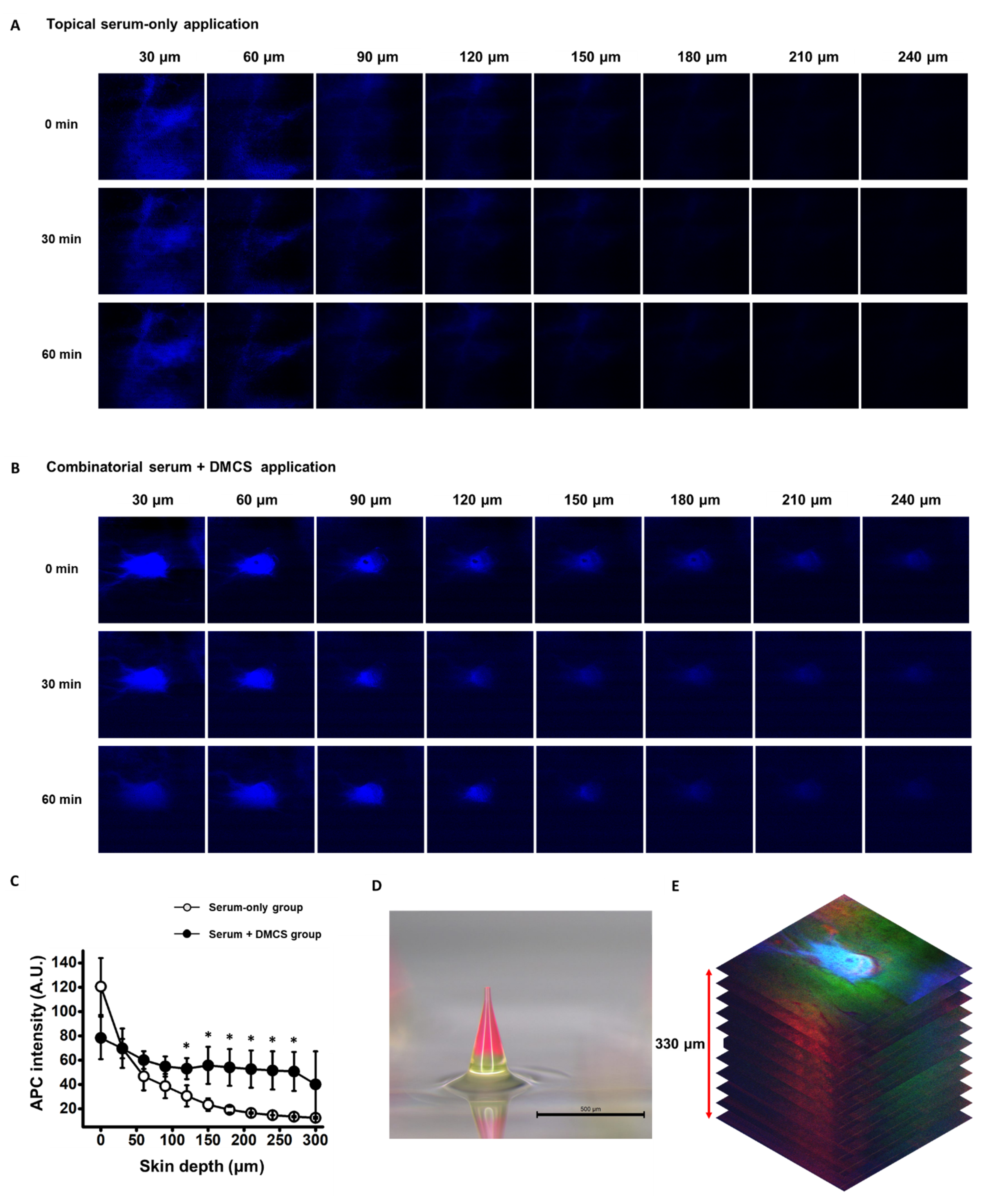 Pharmaceutics 14 02804 g003 Pharmaceutics 14 02804 g003