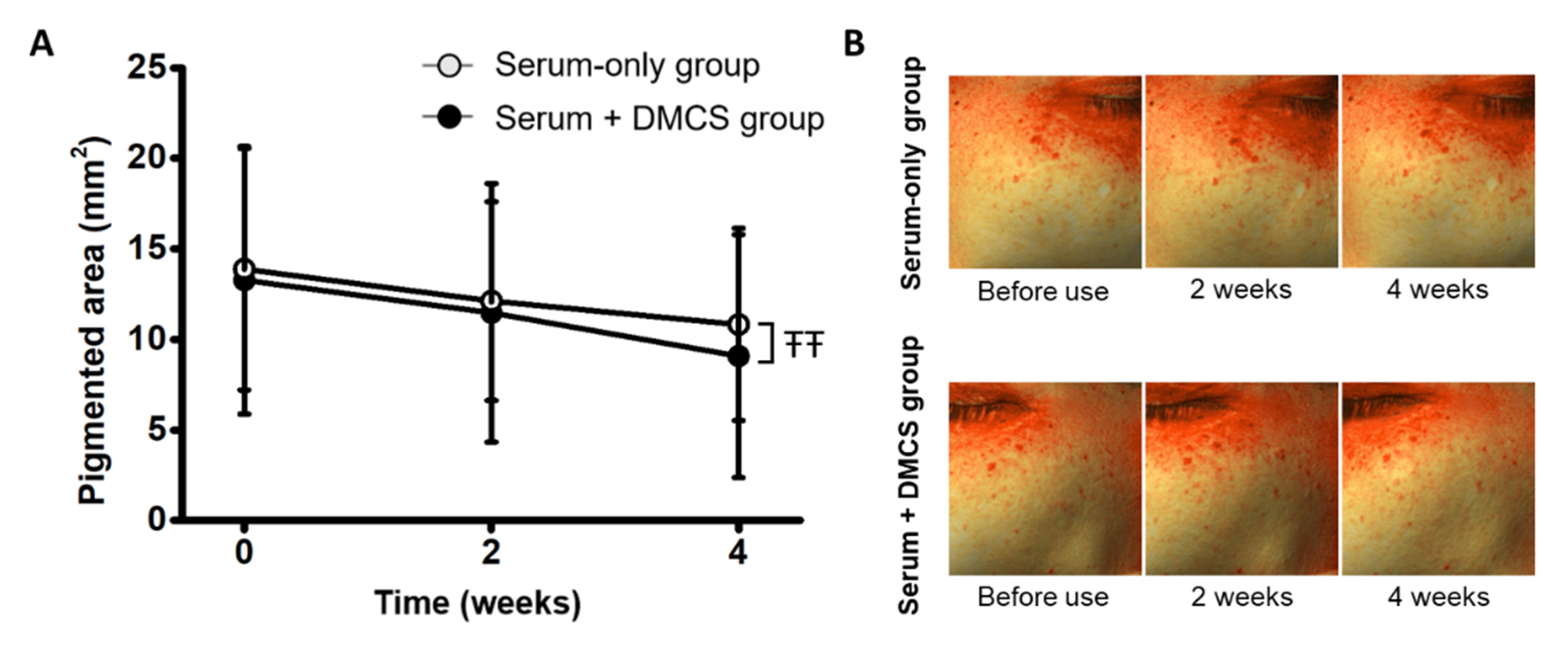Pharmaceutics 14 02804 g005 Pharmaceutics 14 02804 g005