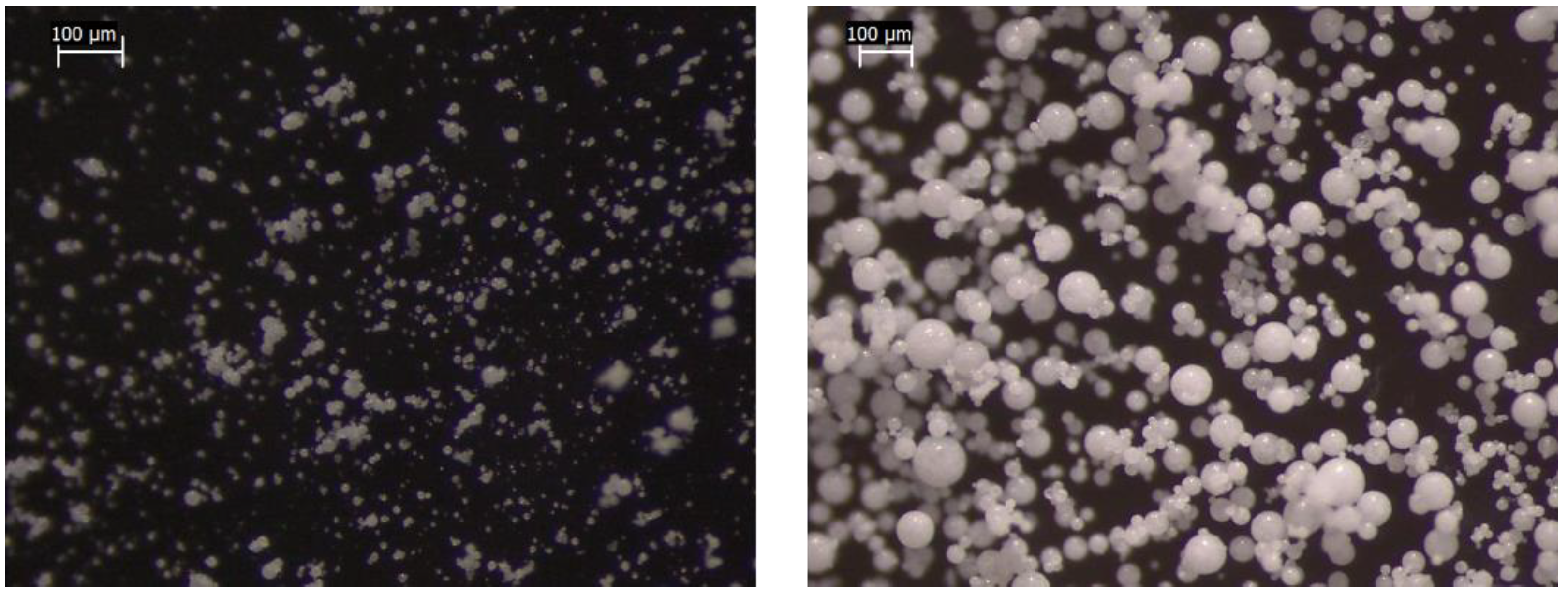 Pharmaceutics 14 02805 g004