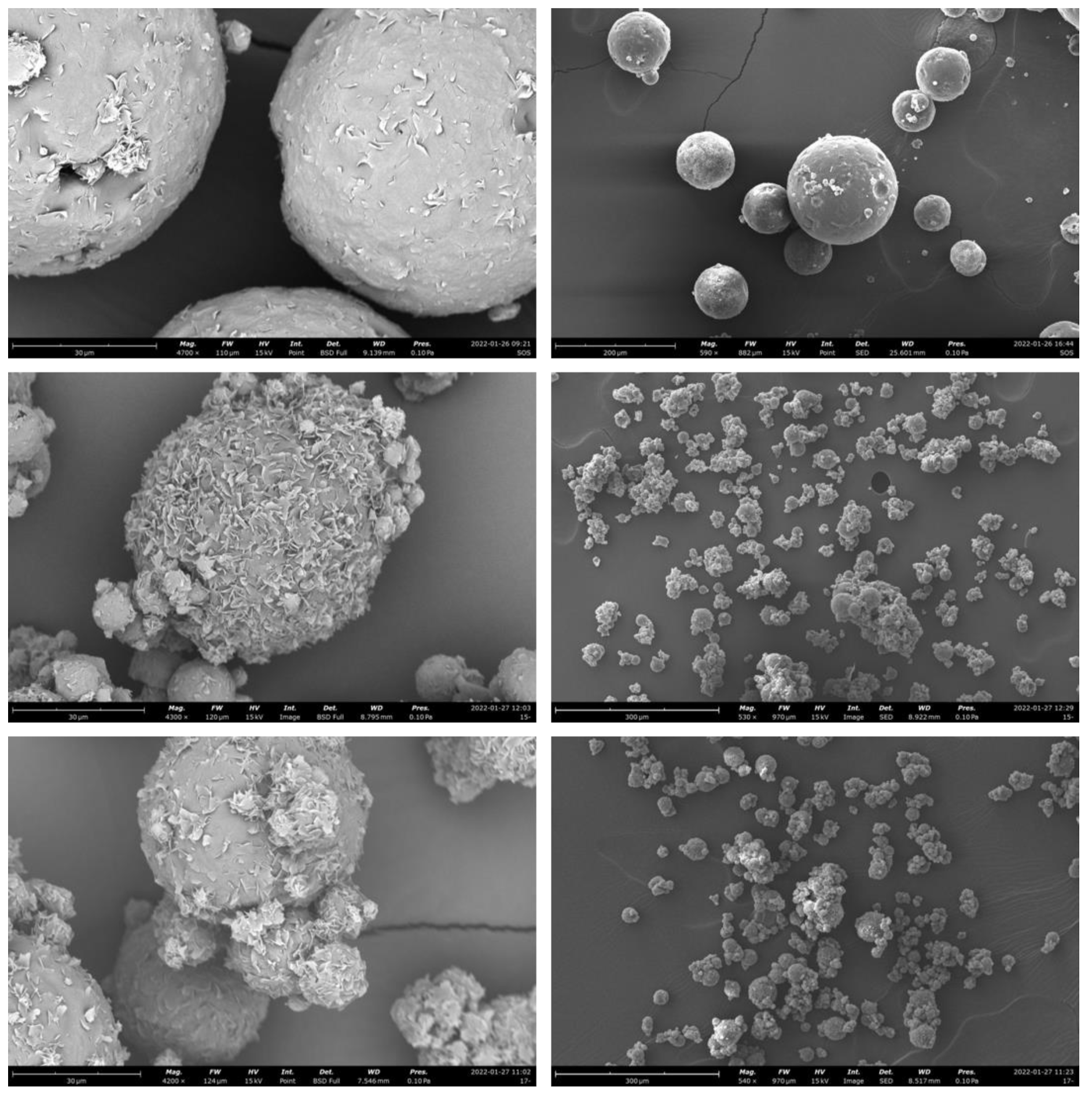 Pharmaceutics 14 02805 g005