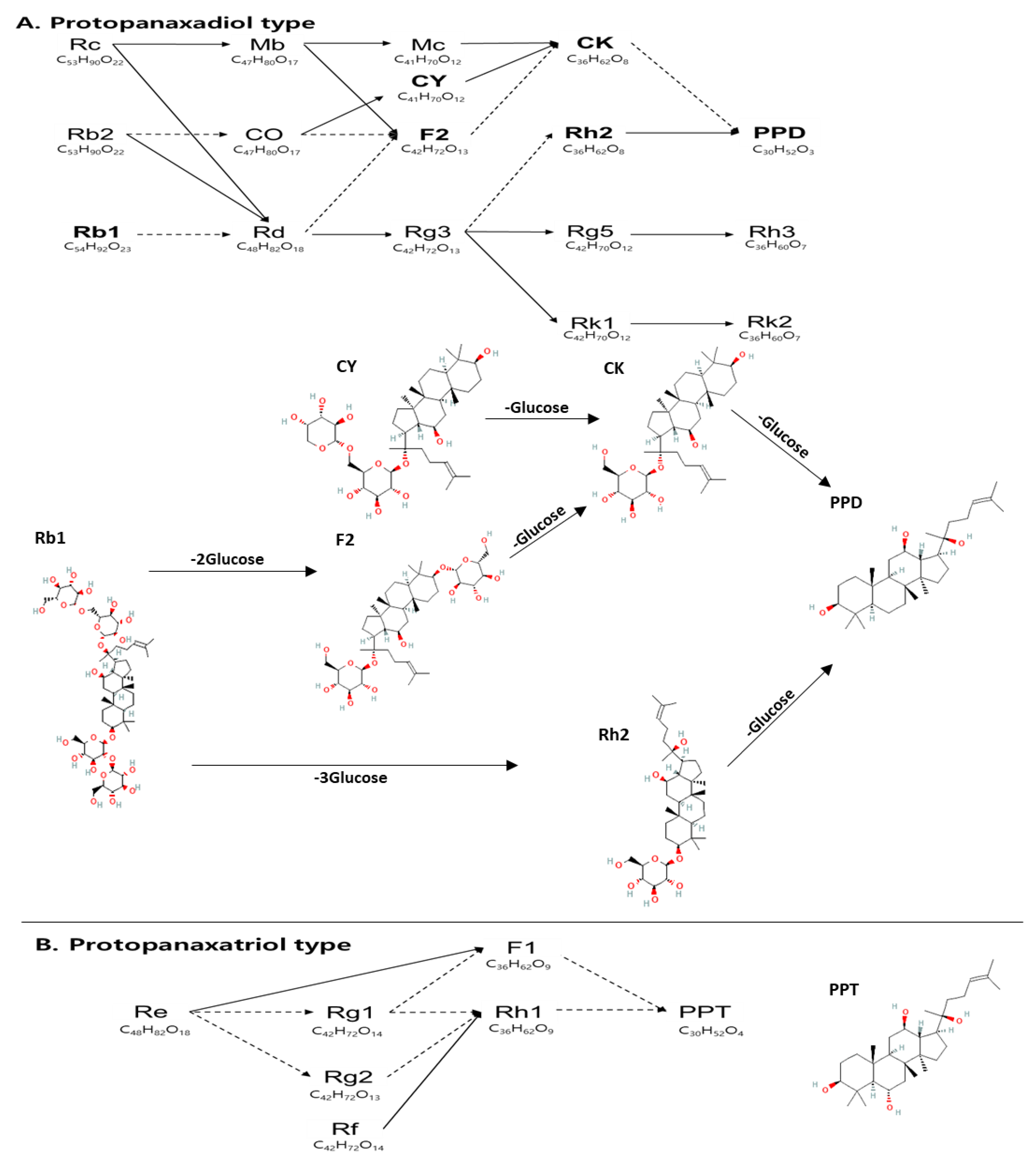Pharmaceutics 14 02807 g001