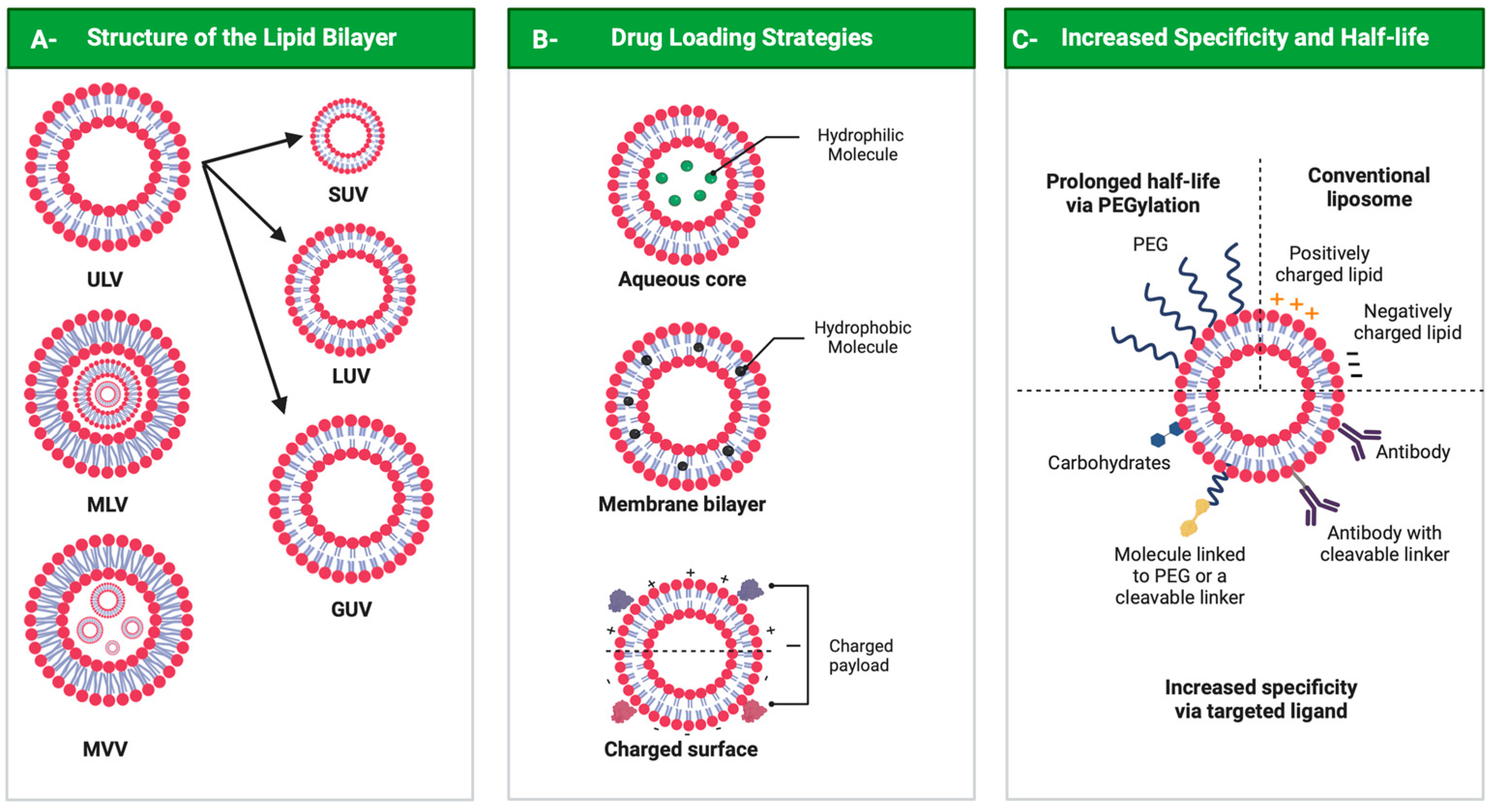 Pharmaceutics 14 02808 g004 Pharmaceutics 14 02808 g004