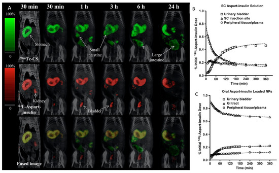 Potential of Nuclear Imaging Techniques to Study the Oral Delivery