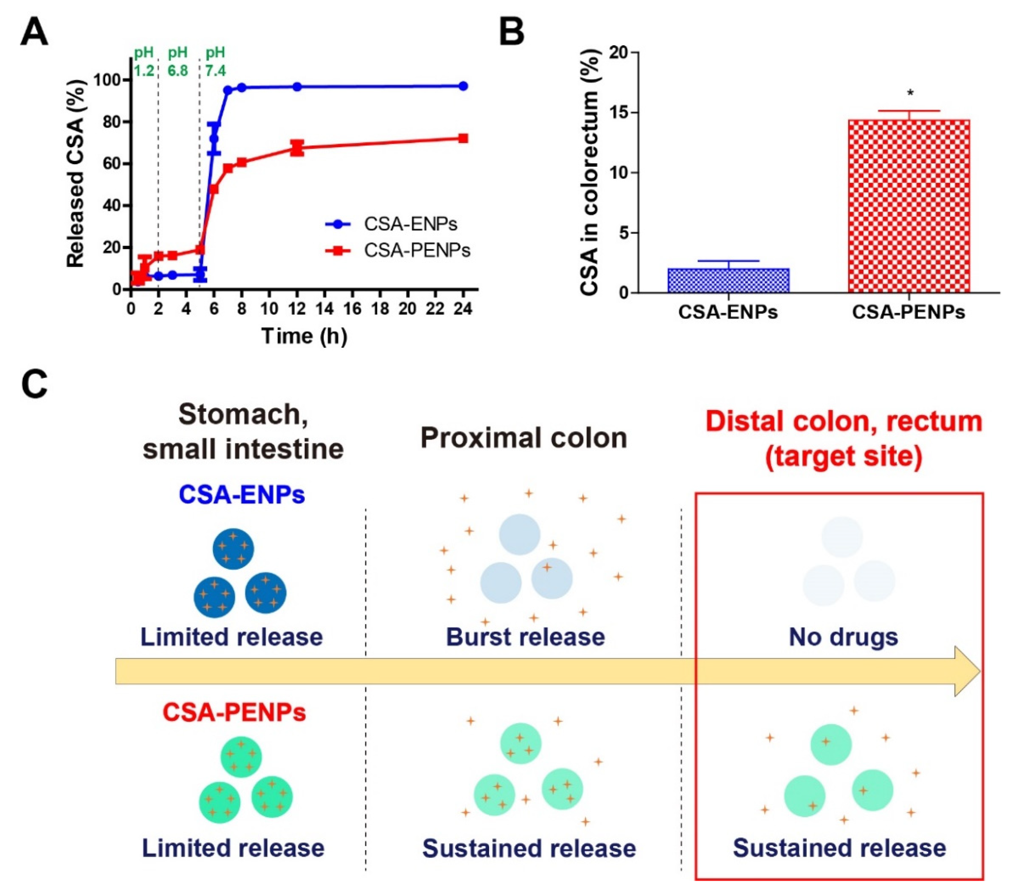 Pharmaceutics 14 02811 g003 Pharmaceutics 14 02811 g003