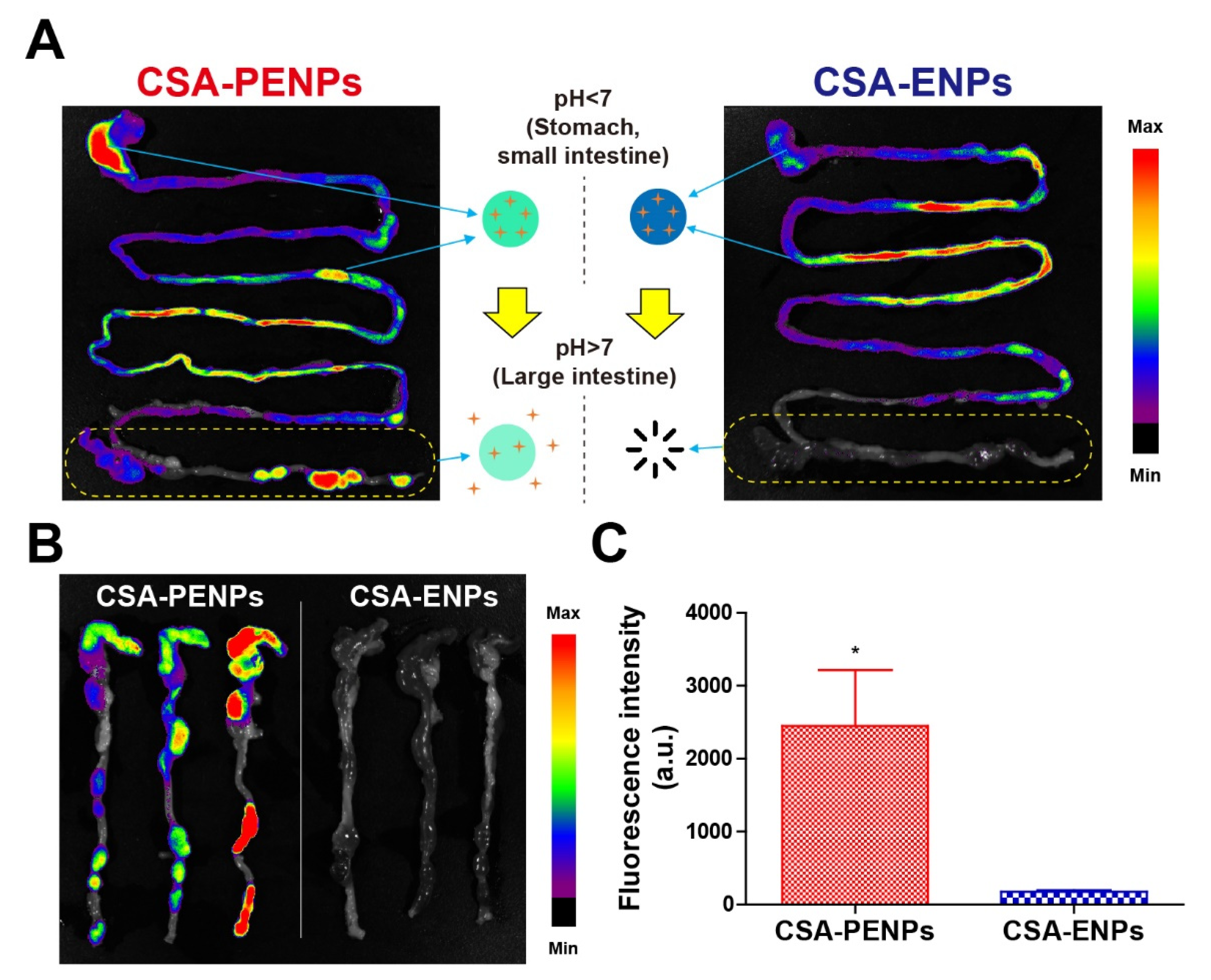 Pharmaceutics 14 02811 g004 Pharmaceutics 14 02811 g004