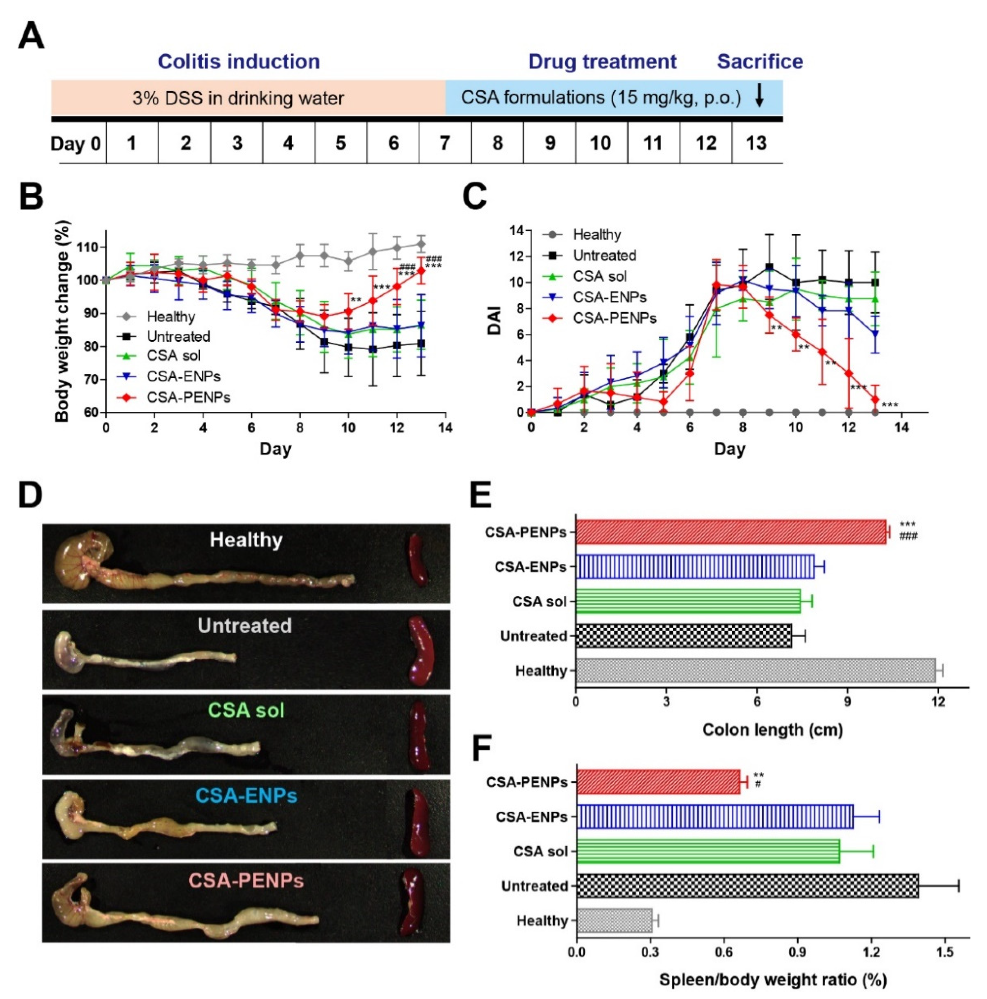 Pharmaceutics 14 02811 g005 Pharmaceutics 14 02811 g005