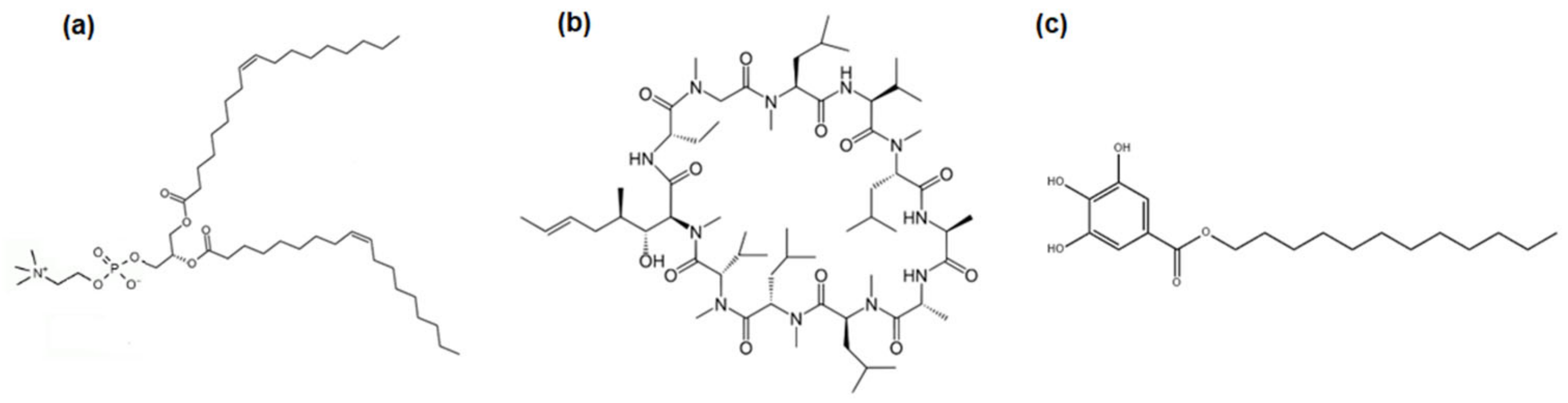 Pharmaceutics 14 02815 g001