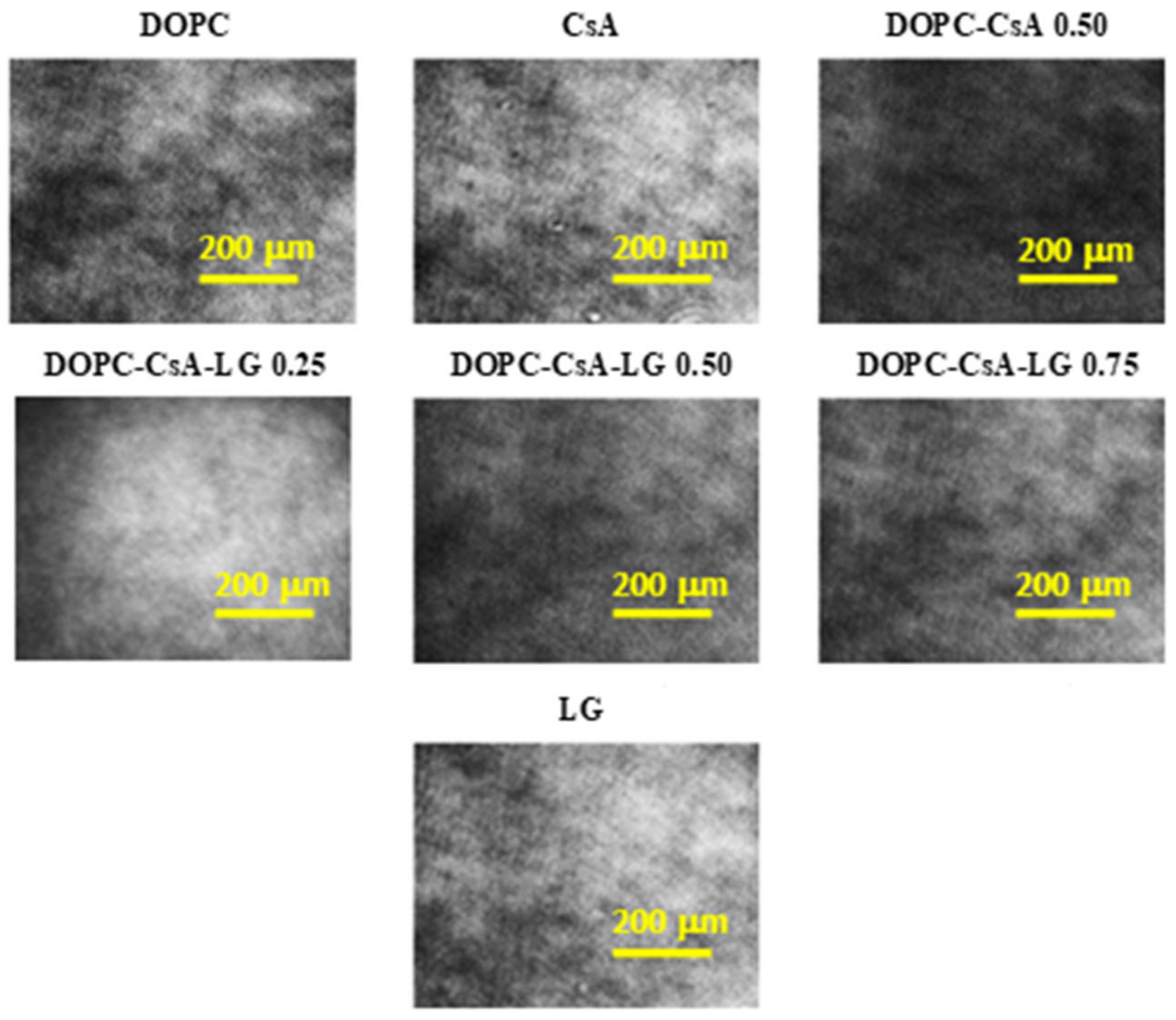 Pharmaceutics 14 02815 g002