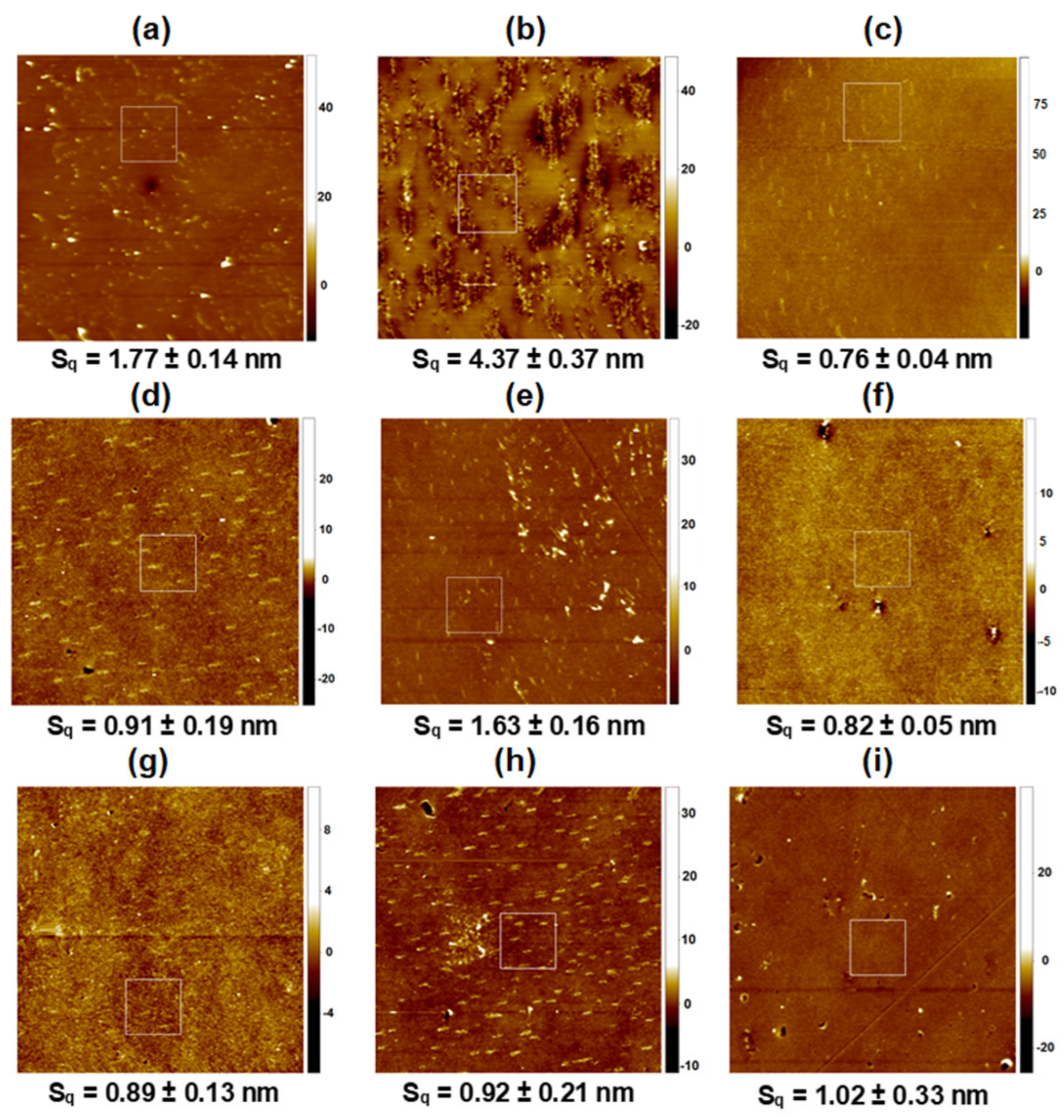 Pharmaceutics 14 02815 g003