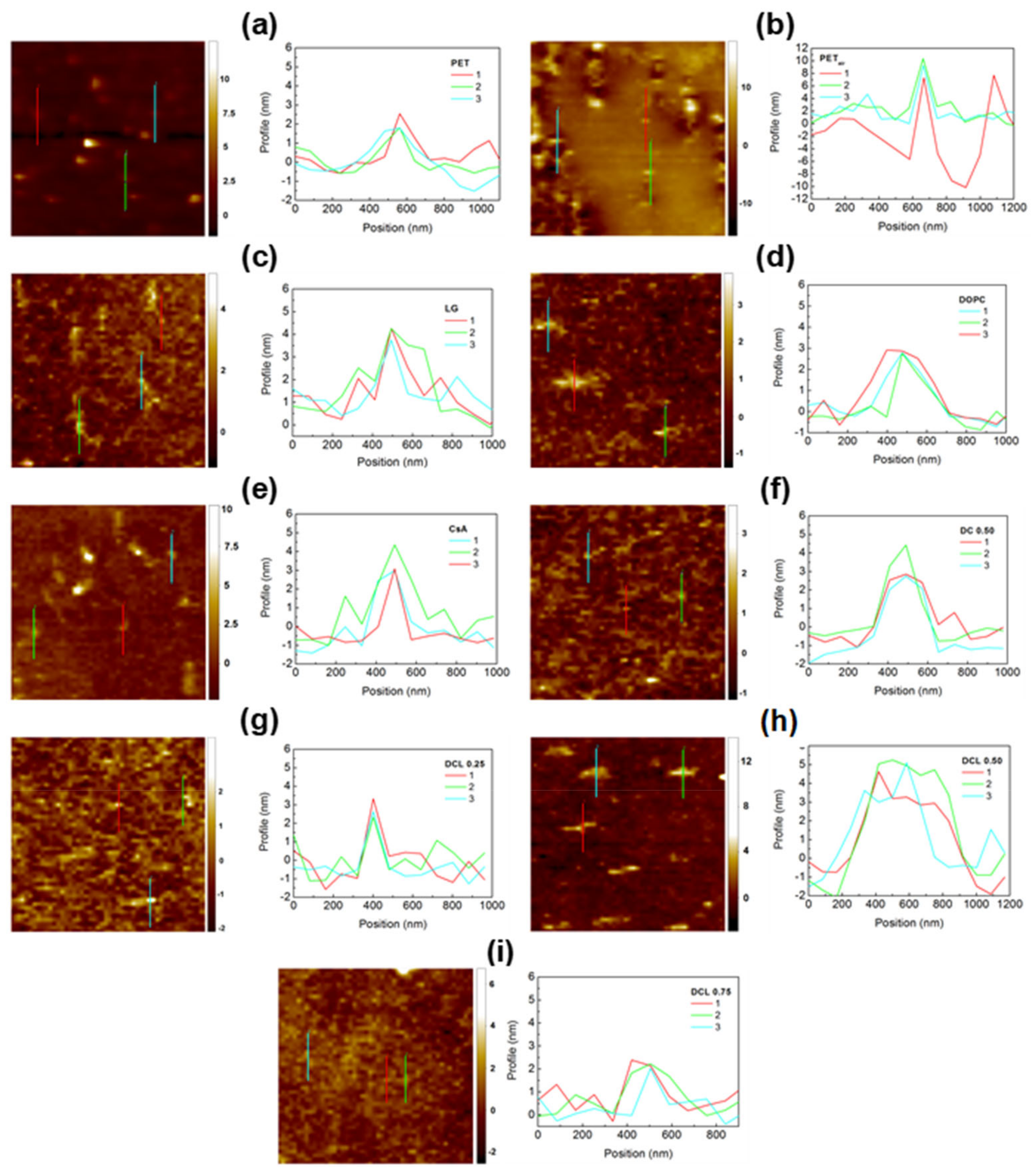 Pharmaceutics 14 02815 g004