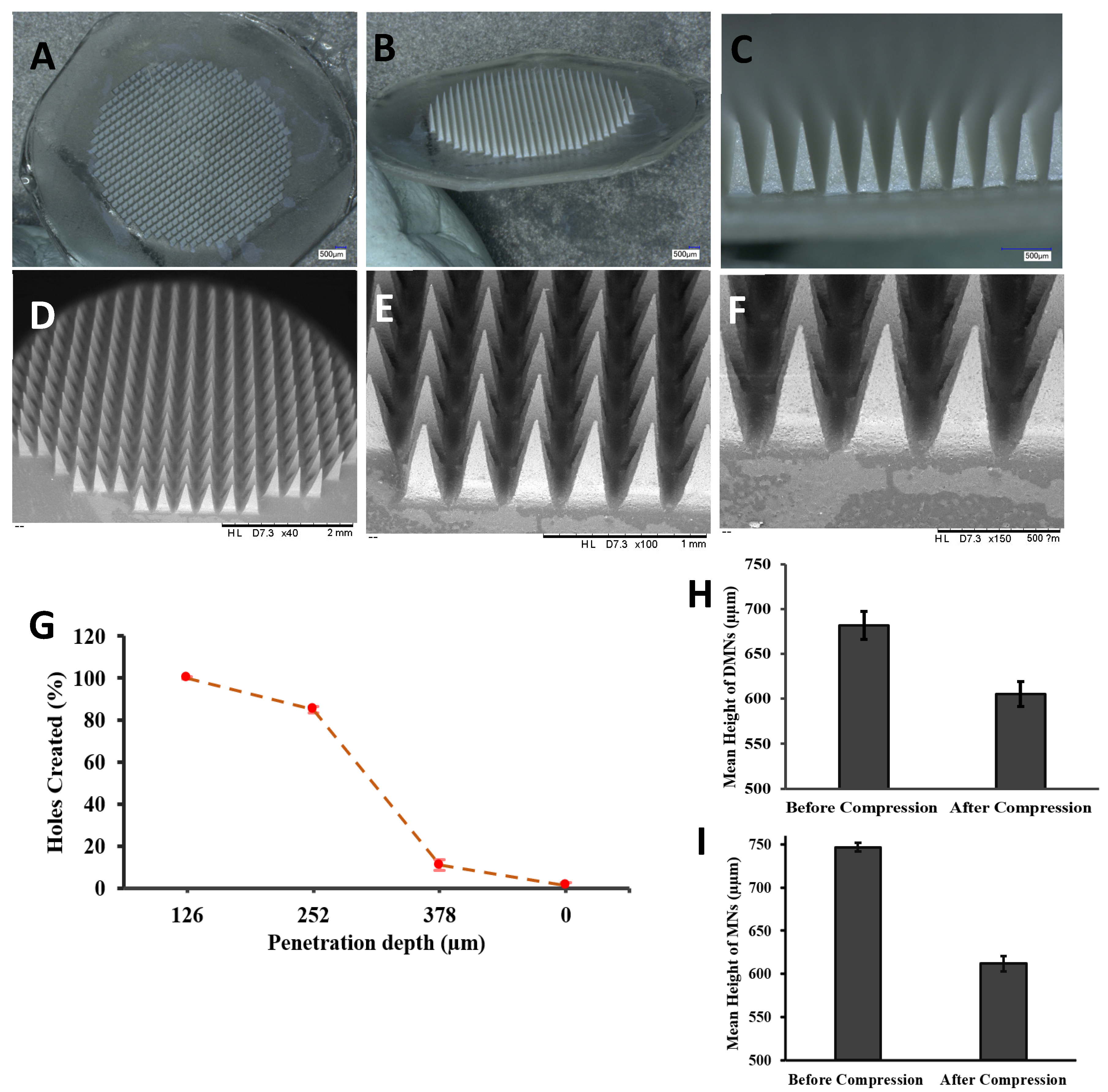 Pharmaceutics 14 02817 g004