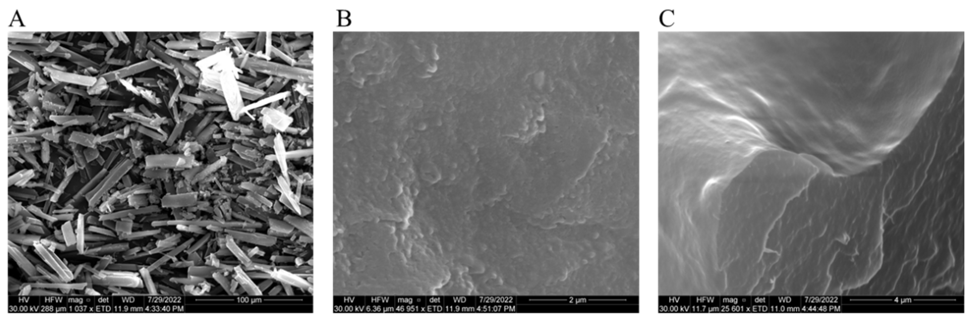 Pharmaceutics 14 02817 g006
