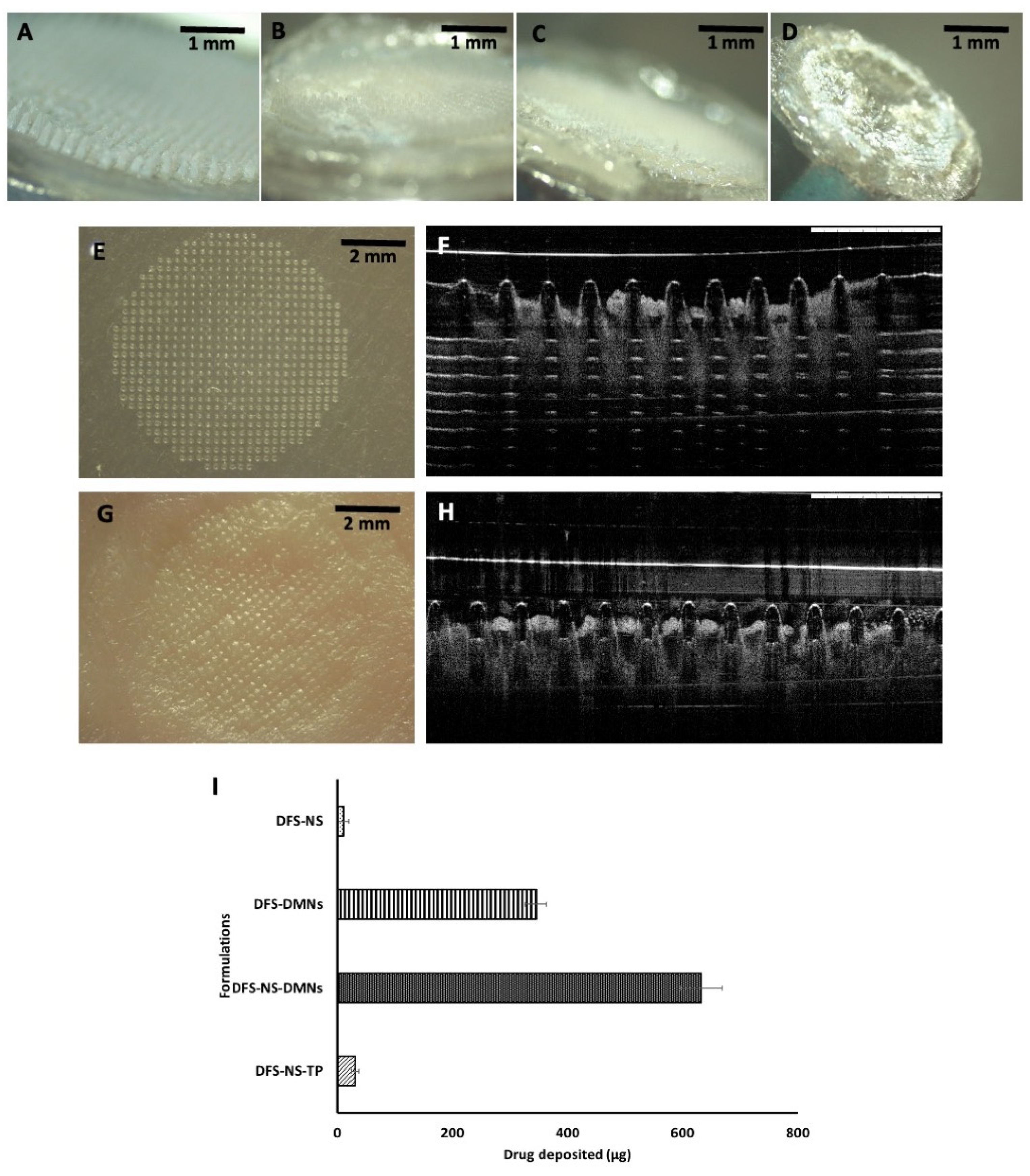 Pharmaceutics 14 02817 g007