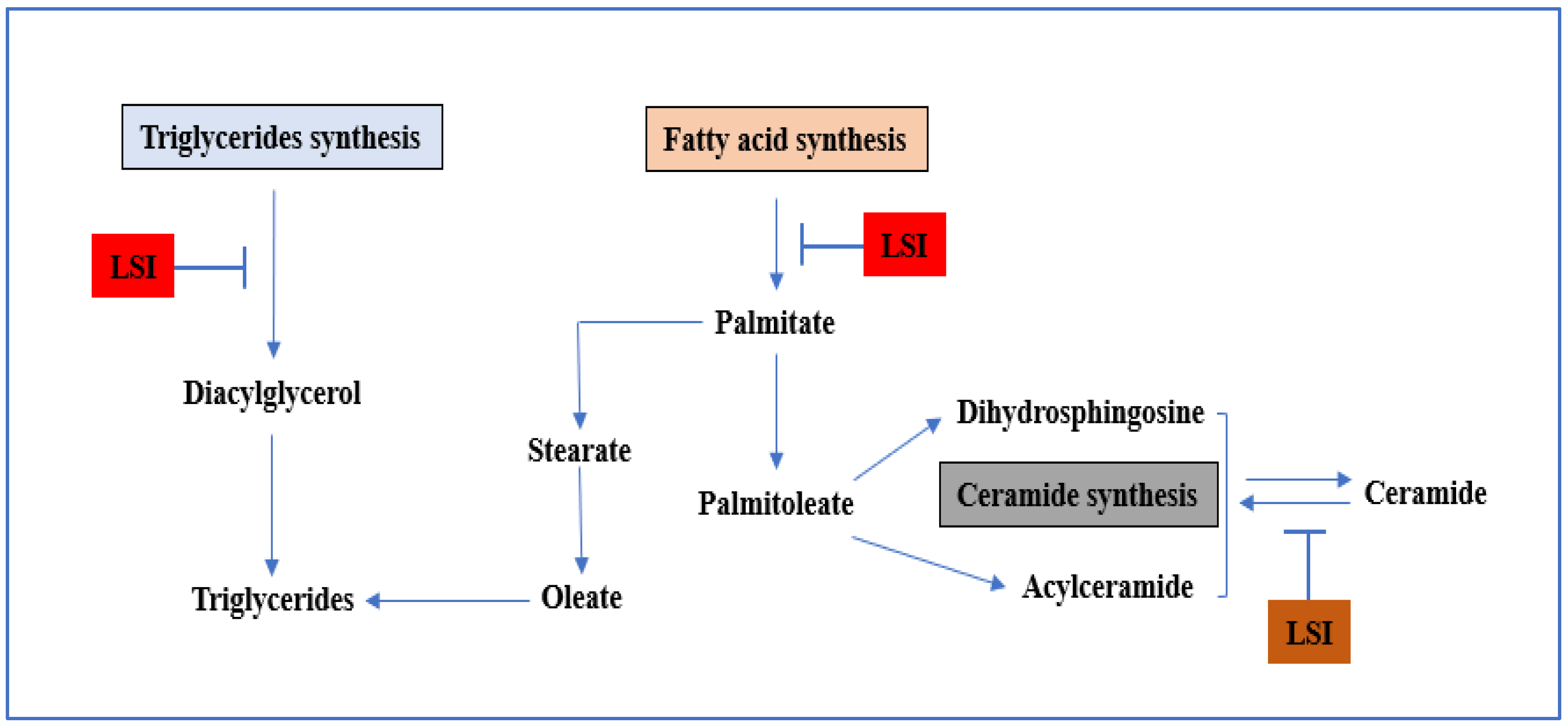 Pharmaceutics 14 02818 g007