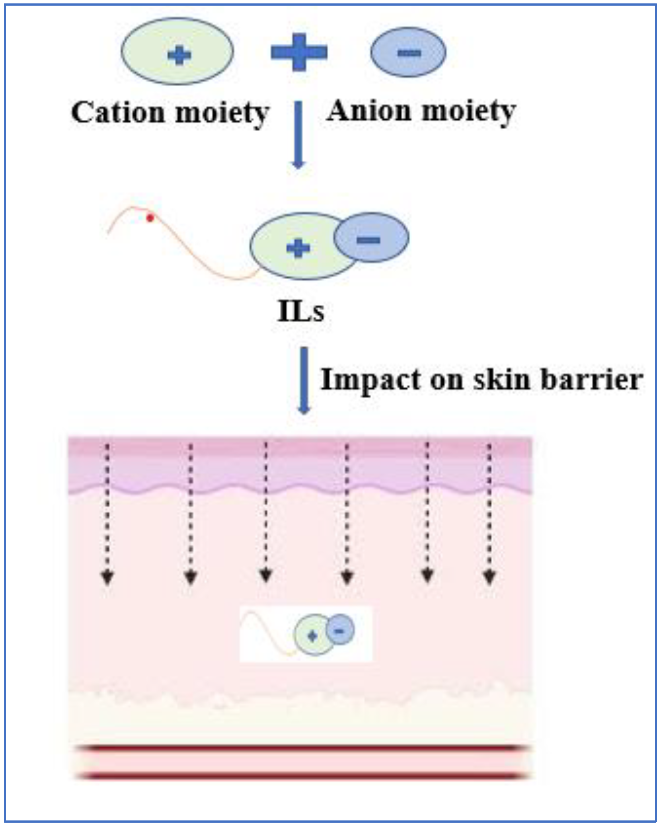 Pharmaceutics 14 02818 g008