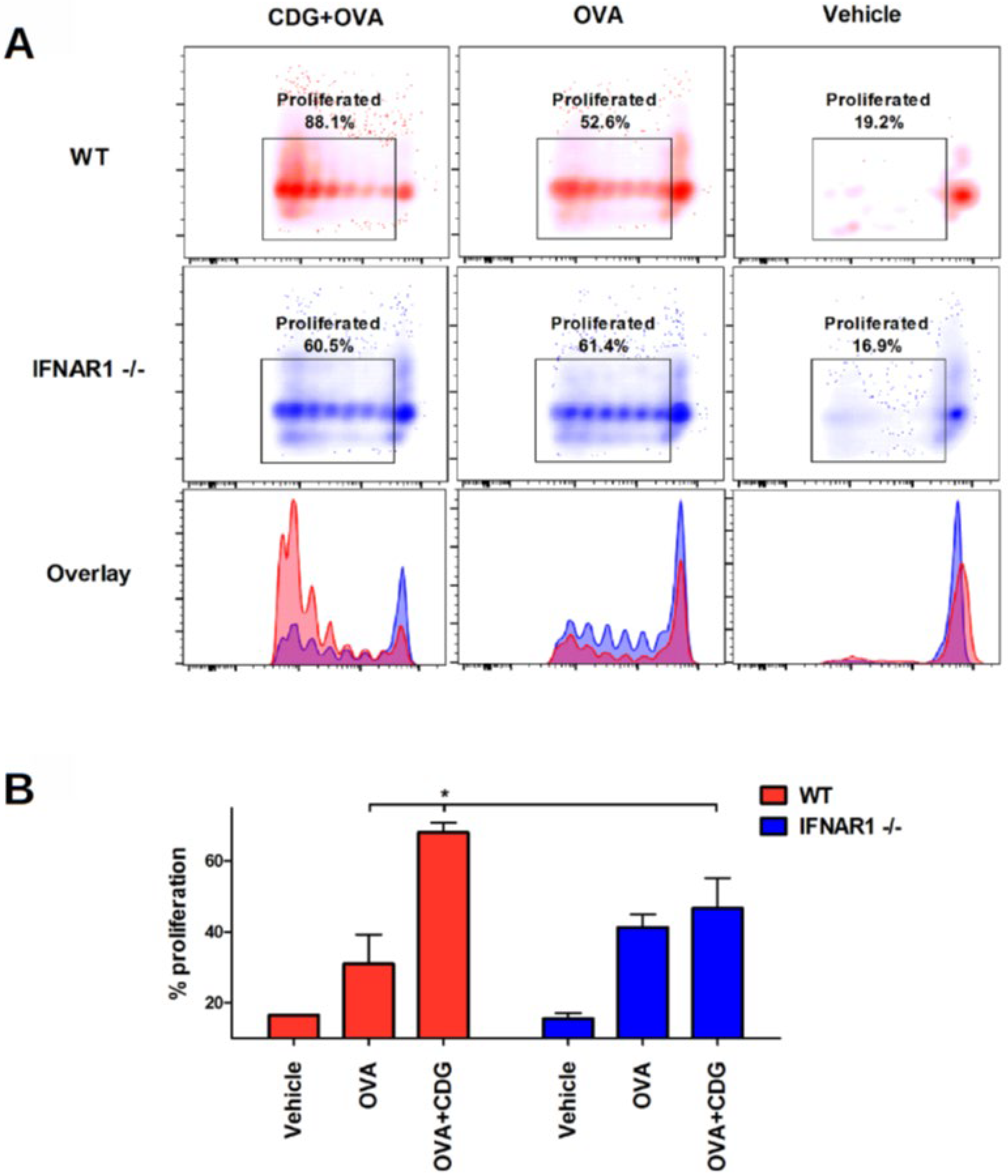 Pharmaceutics 14 02821 g004
