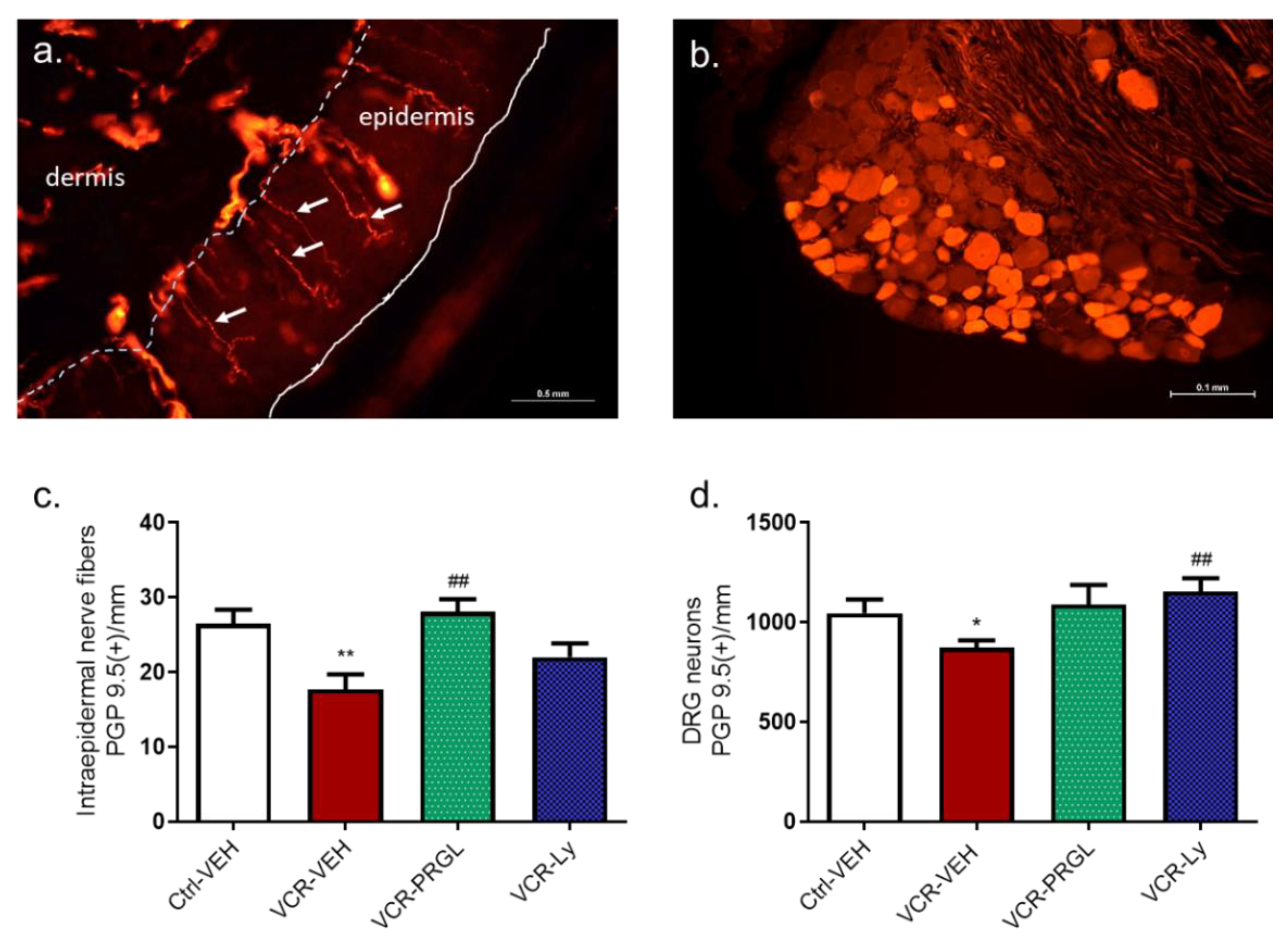 Pharmaceutics 14 02823 g009 Pharmaceutics 14 02823 g009