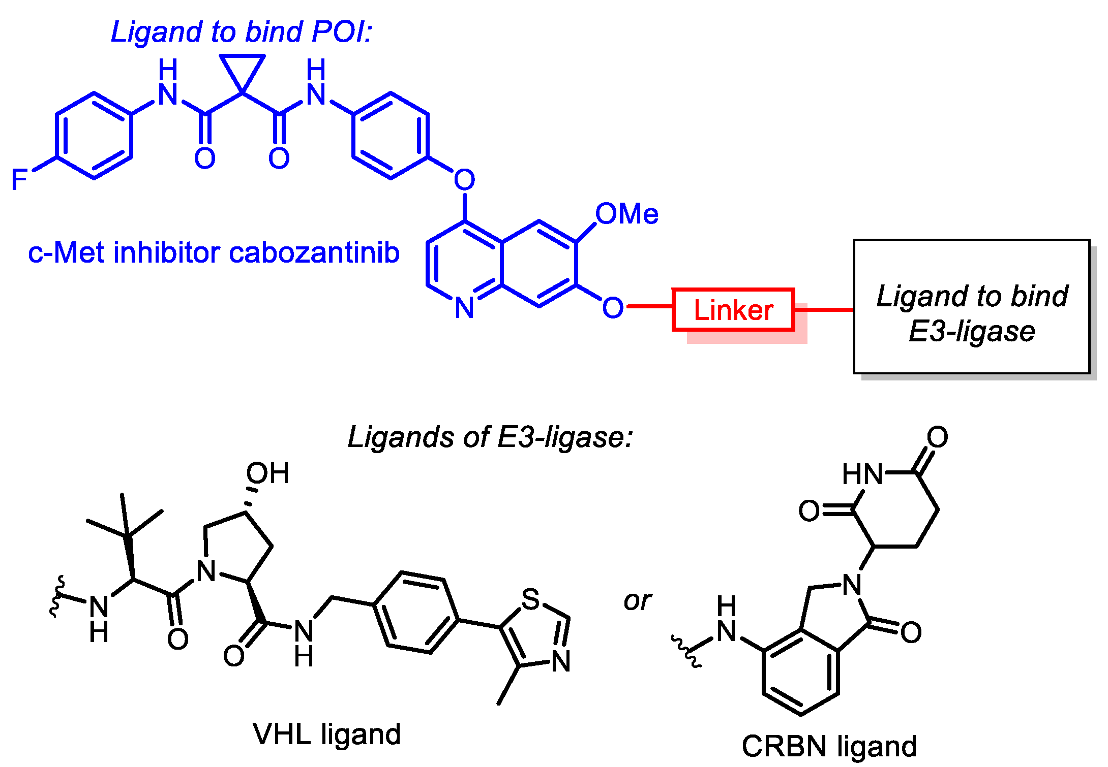 Pharmaceutics 14 02829 g001