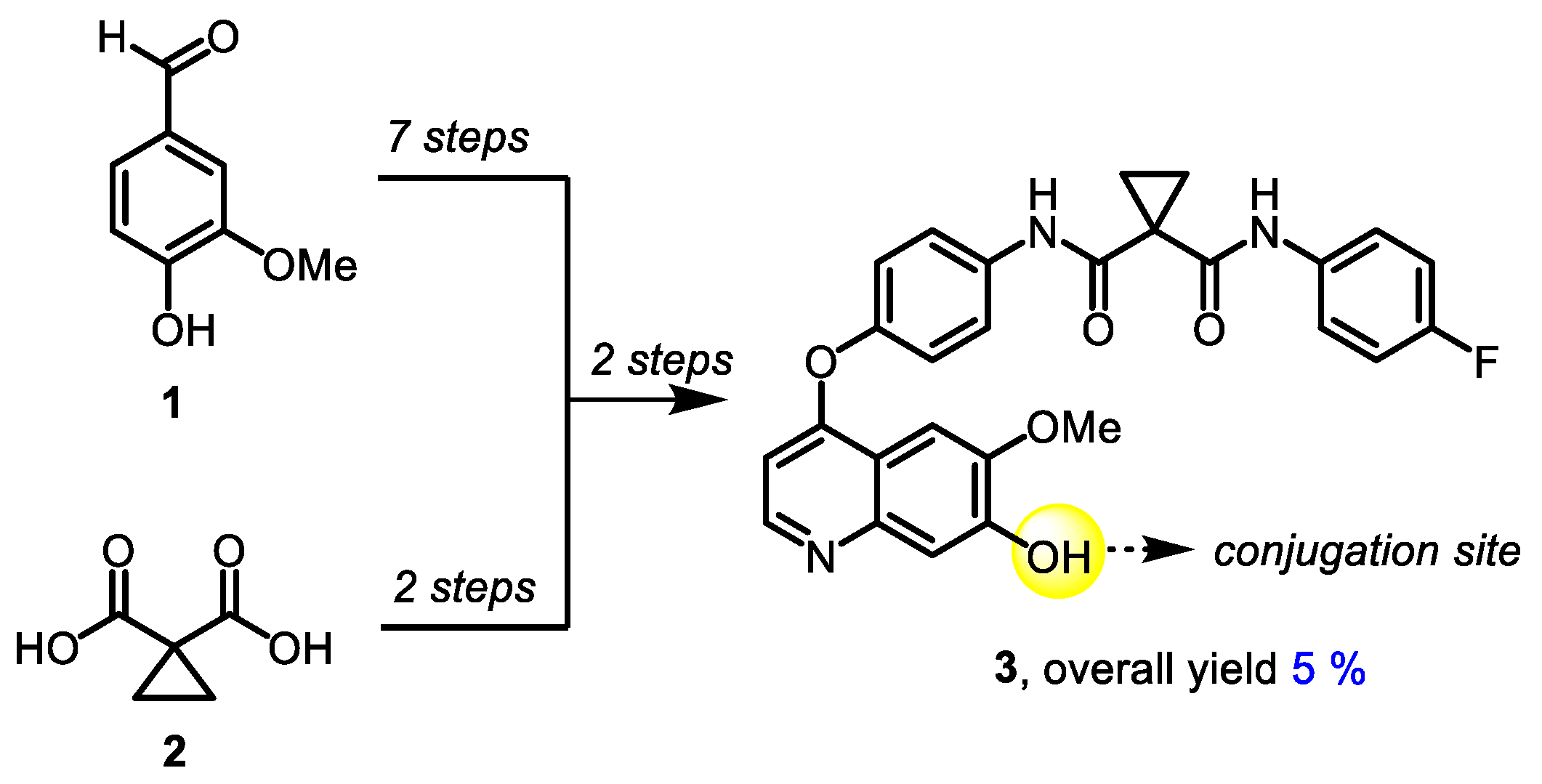 Pharmaceutics 14 02829 sch001