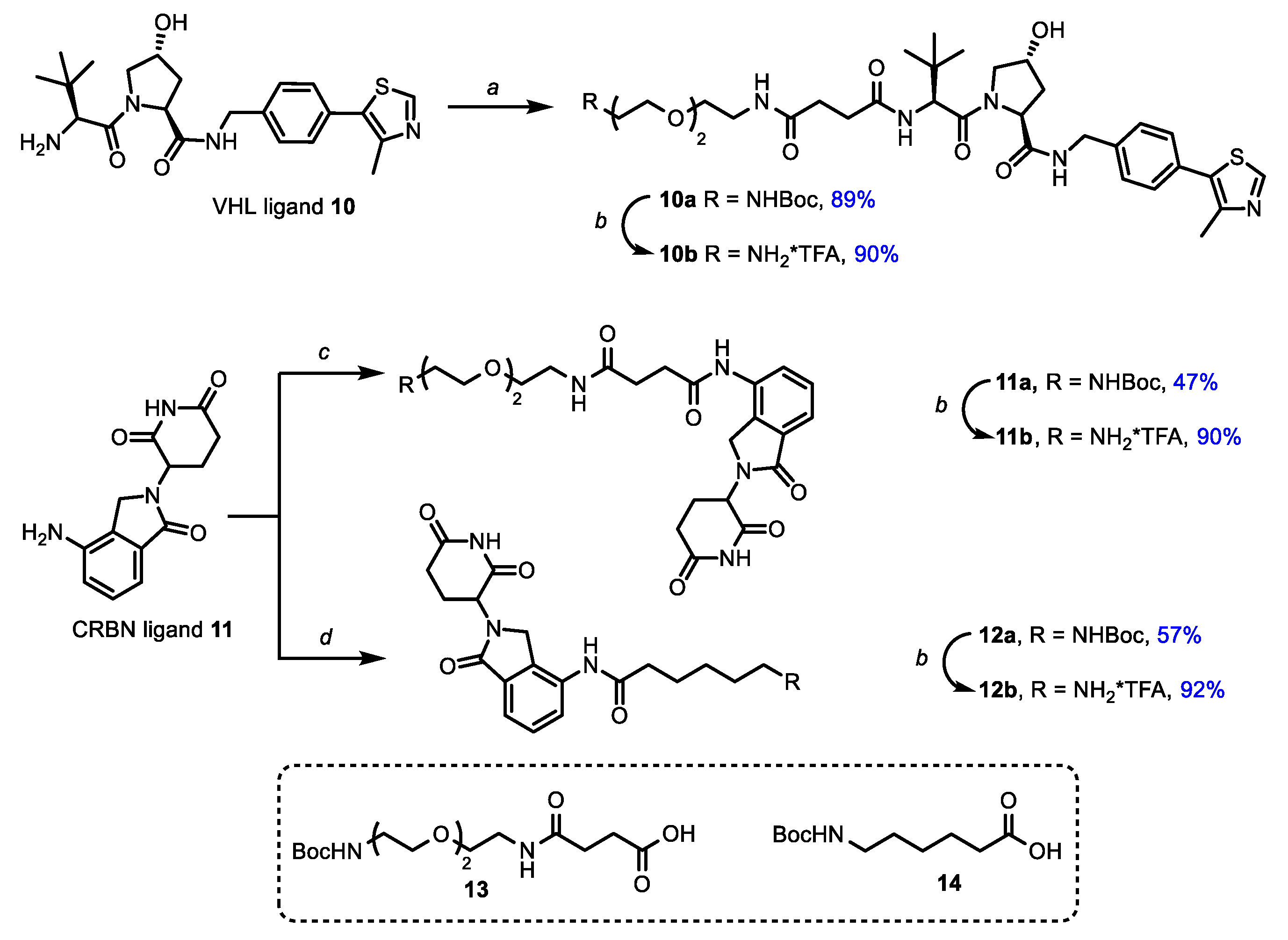 Pharmaceutics 14 02829 sch003