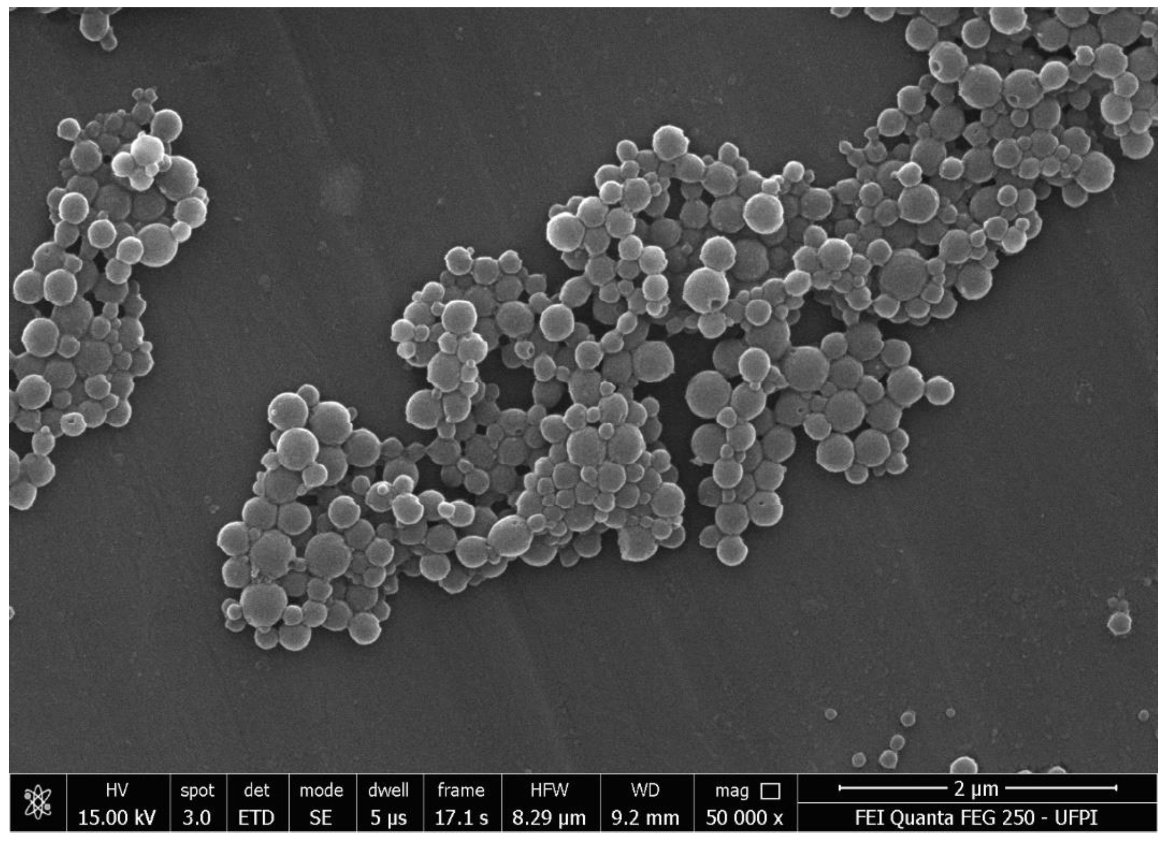 Pharmaceutics 14 02830 g005 Pharmaceutics 14 02830 g005