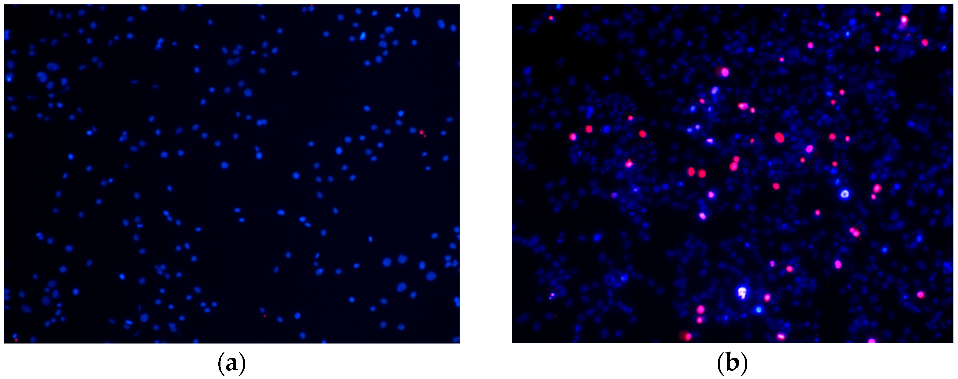 Pharmaceutics 14 02831 g004a