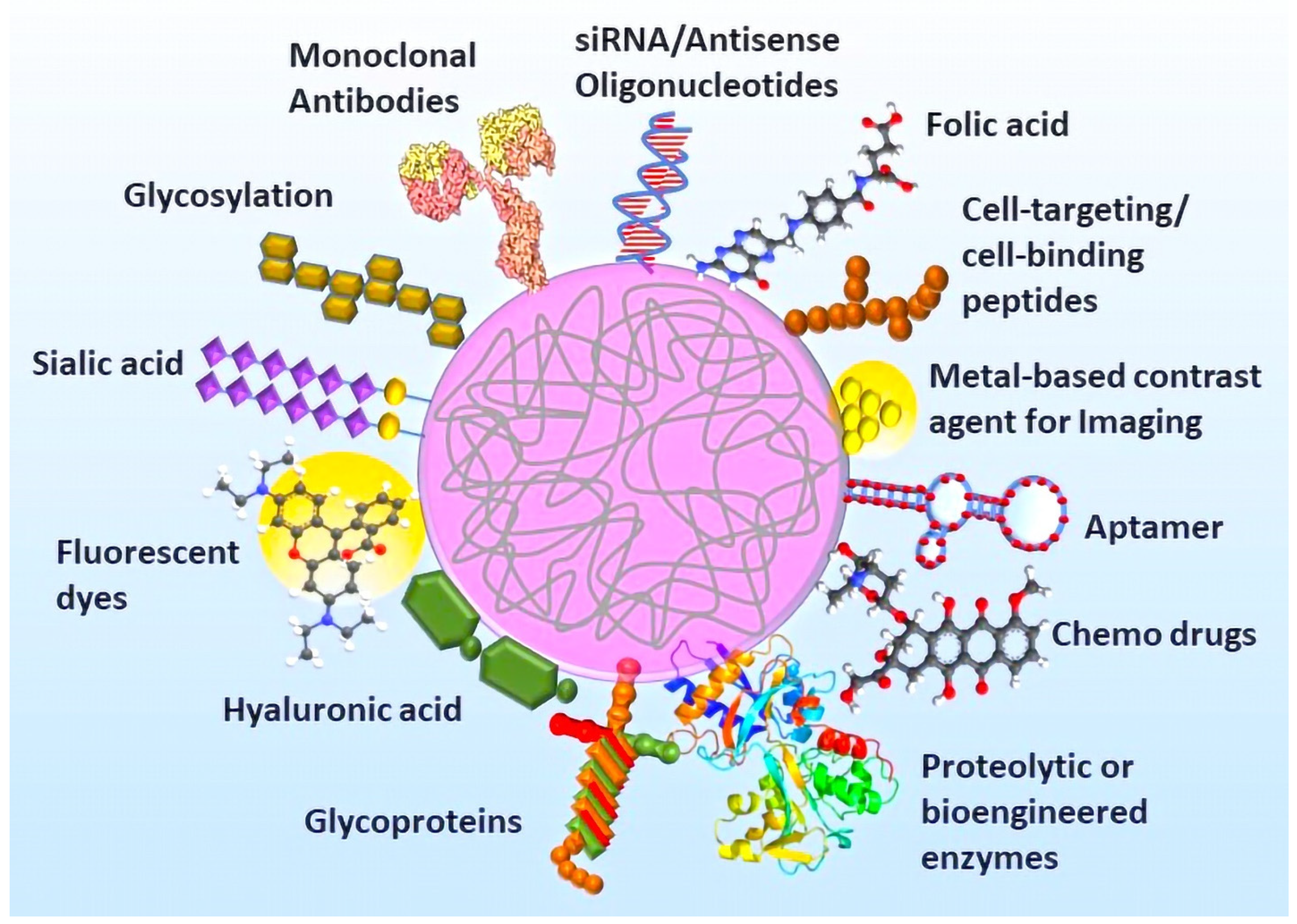 Pharmaceutics 14 02832 g002
