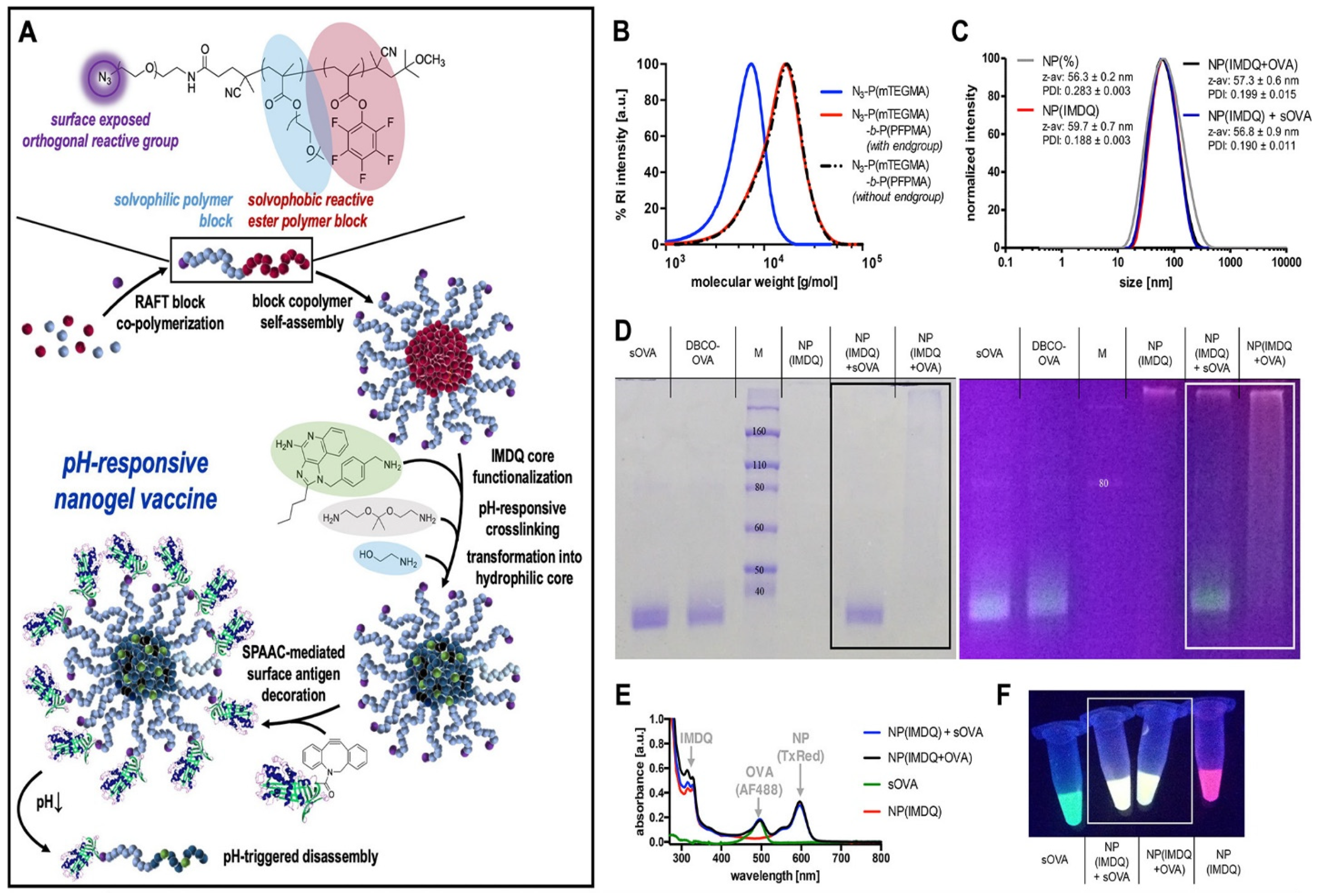 Pharmaceutics 14 02832 g004