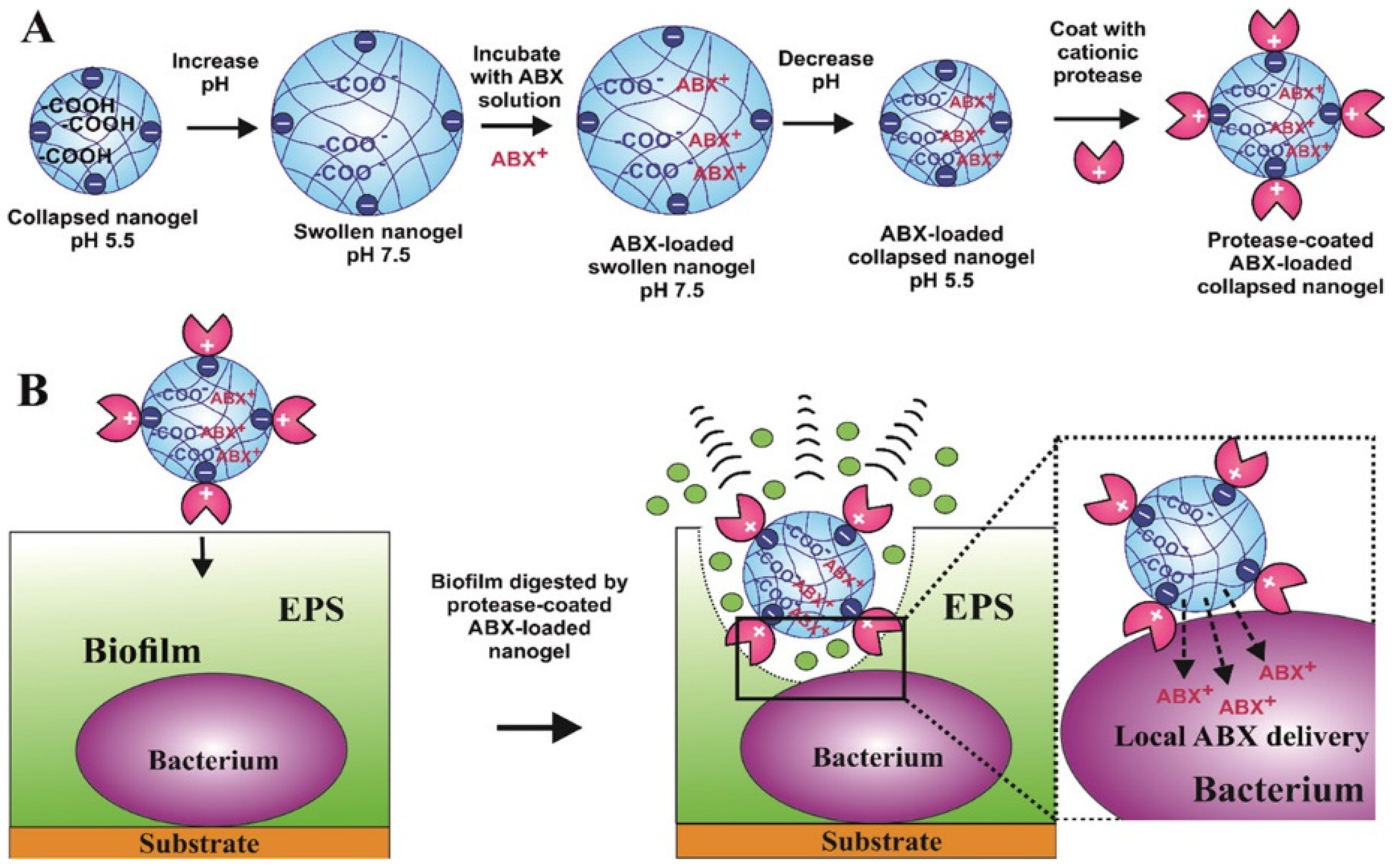 Pharmaceutics 14 02832 g005
