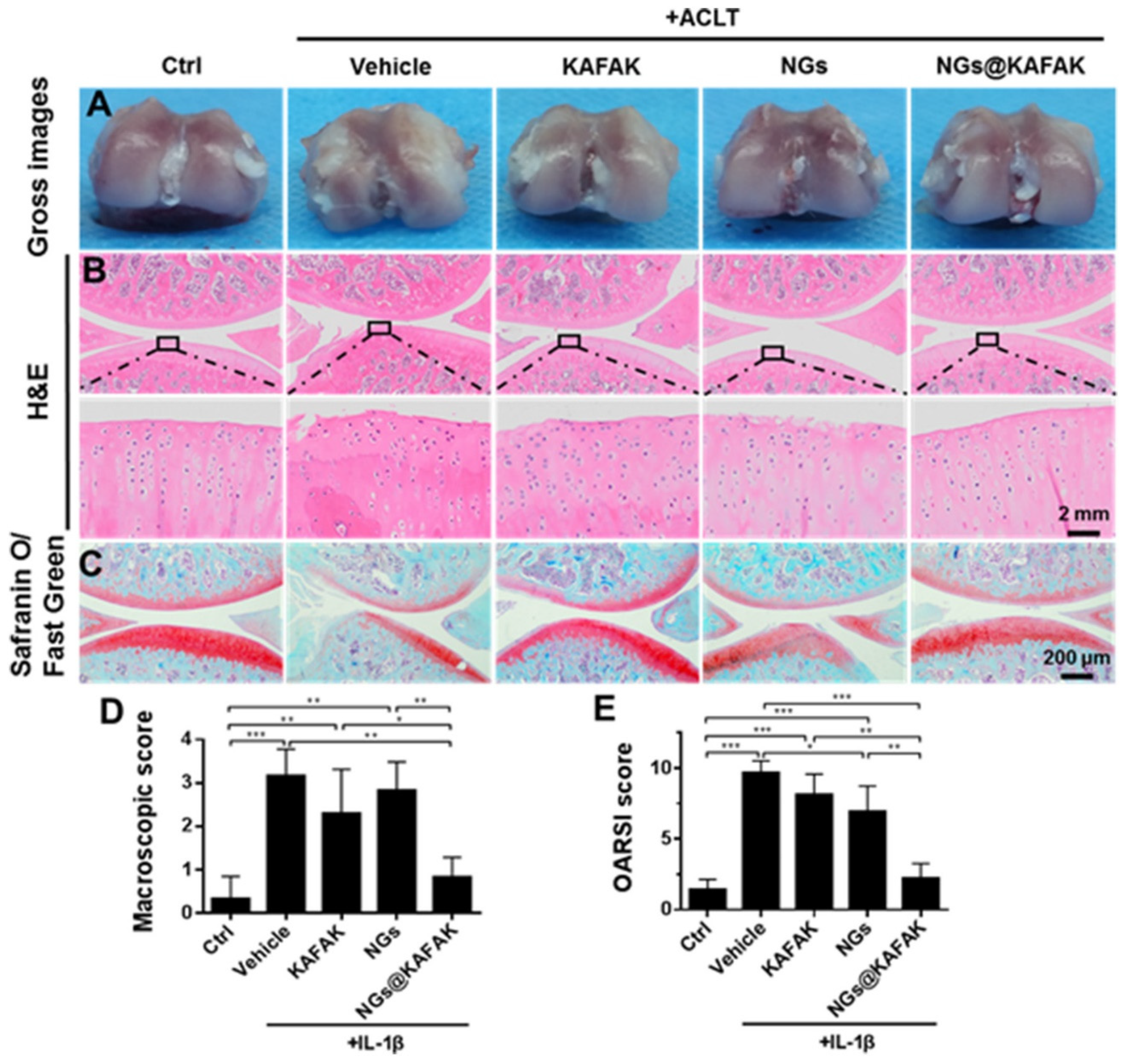 Pharmaceutics 14 02832 g006