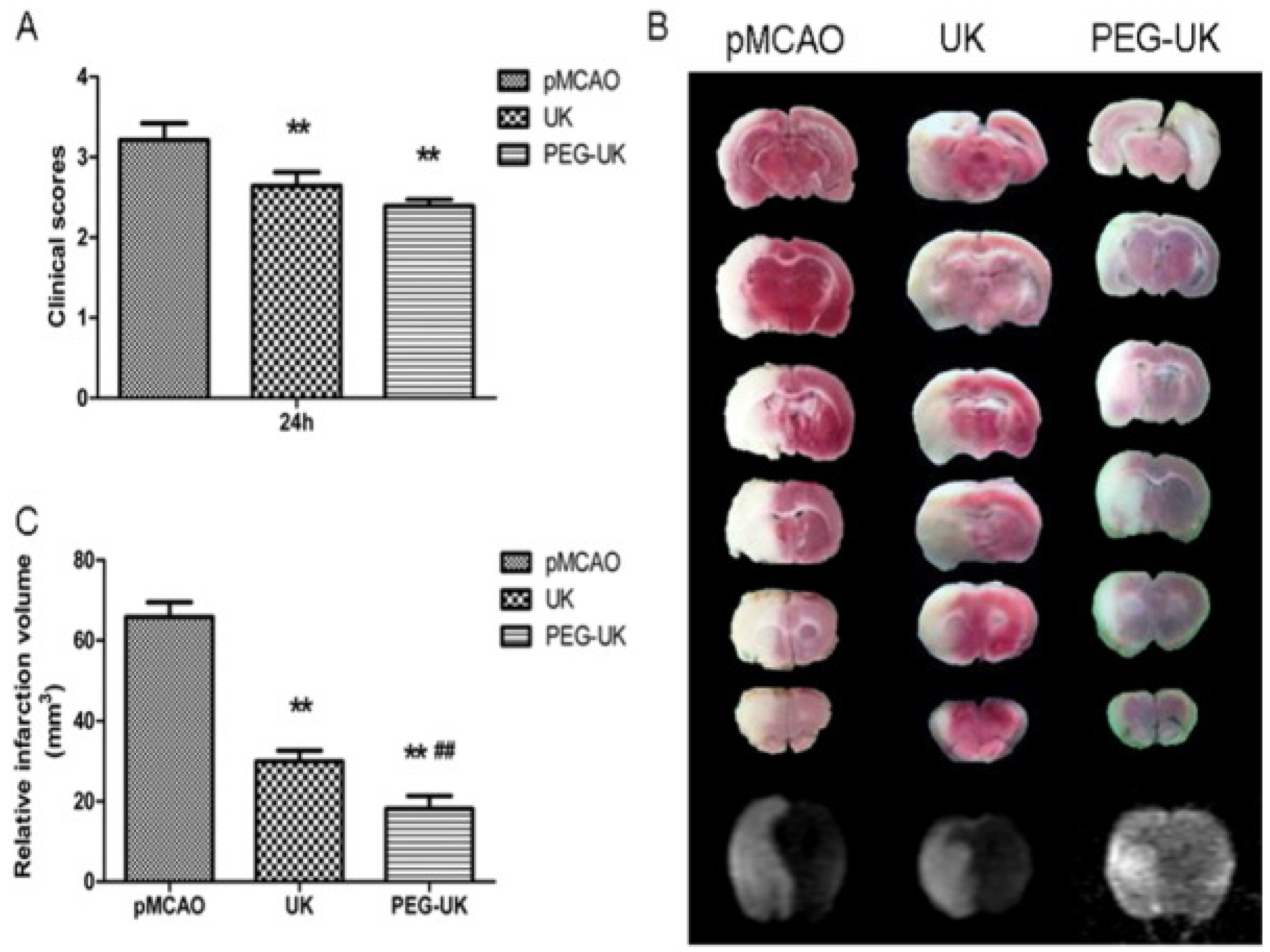Pharmaceutics 14 02832 g007