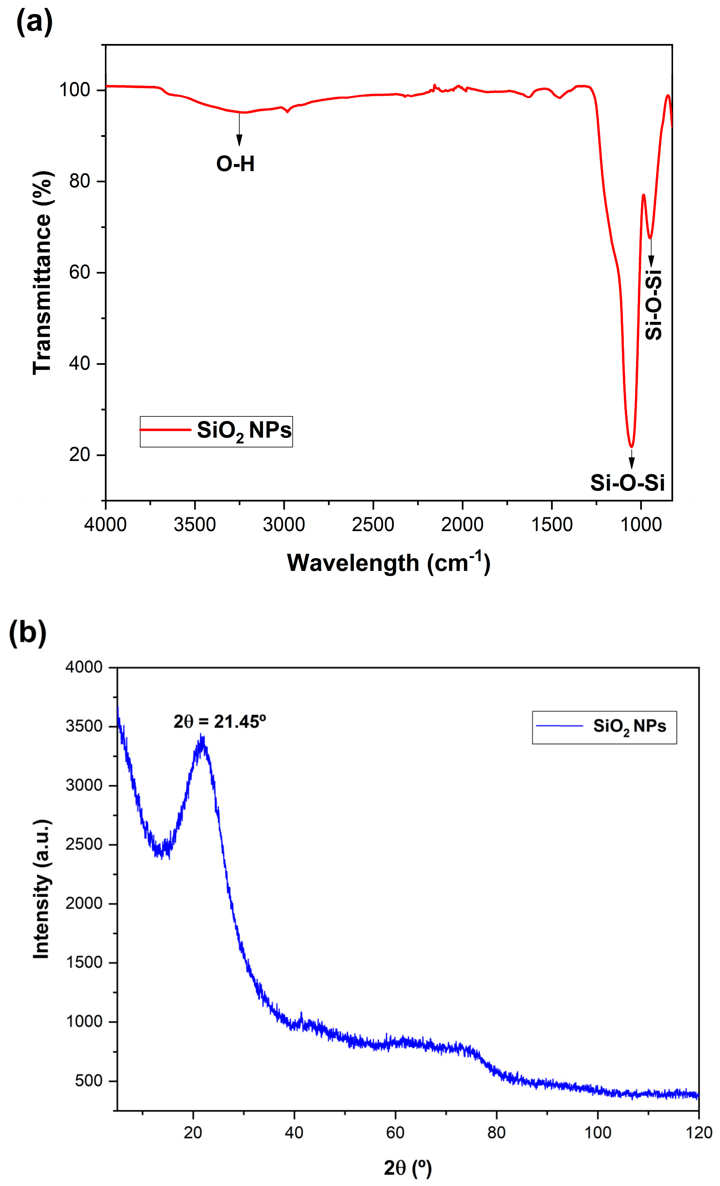 Pharmaceutics 14 02837 g001