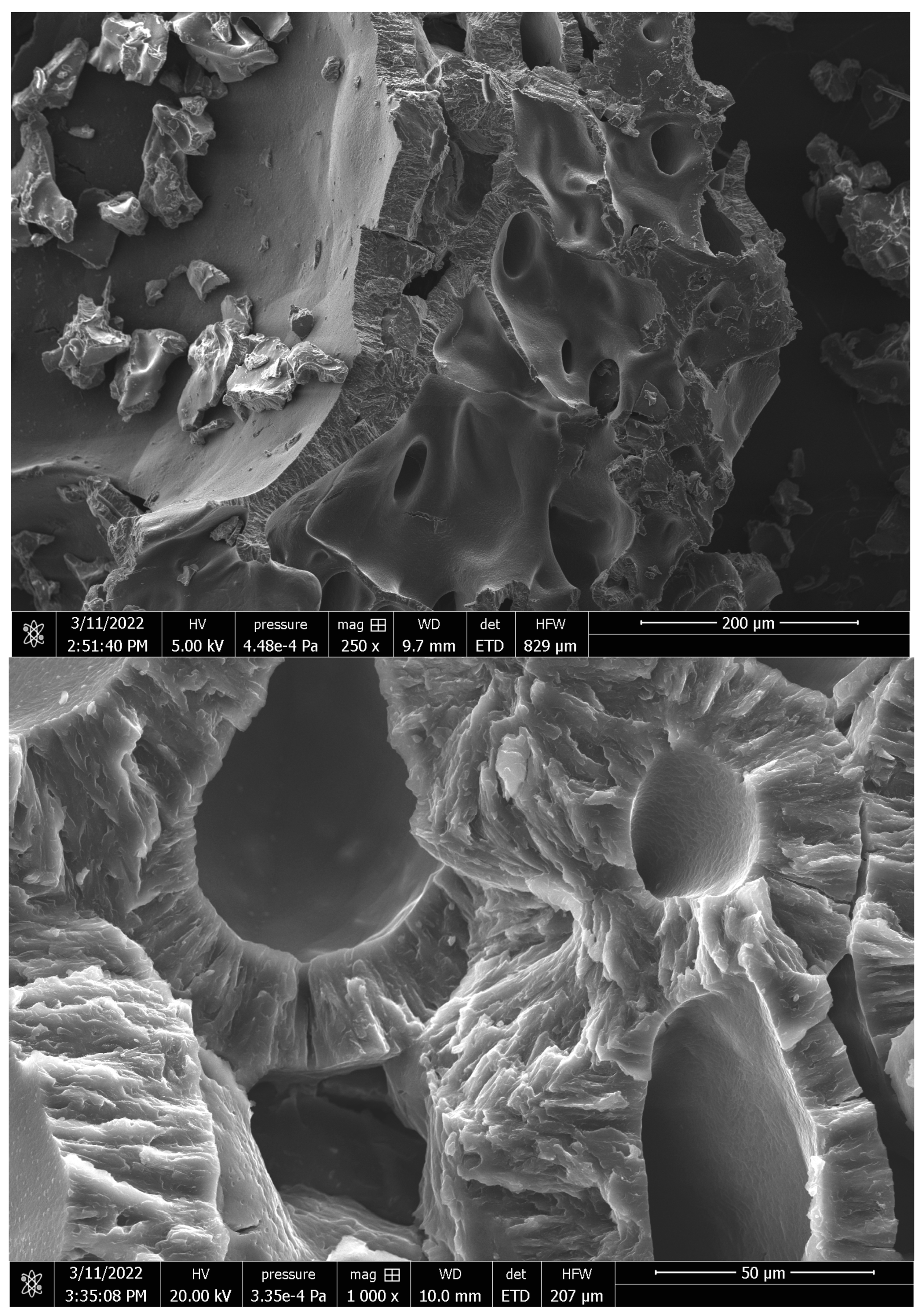 Pharmaceutics 14 02837 g003