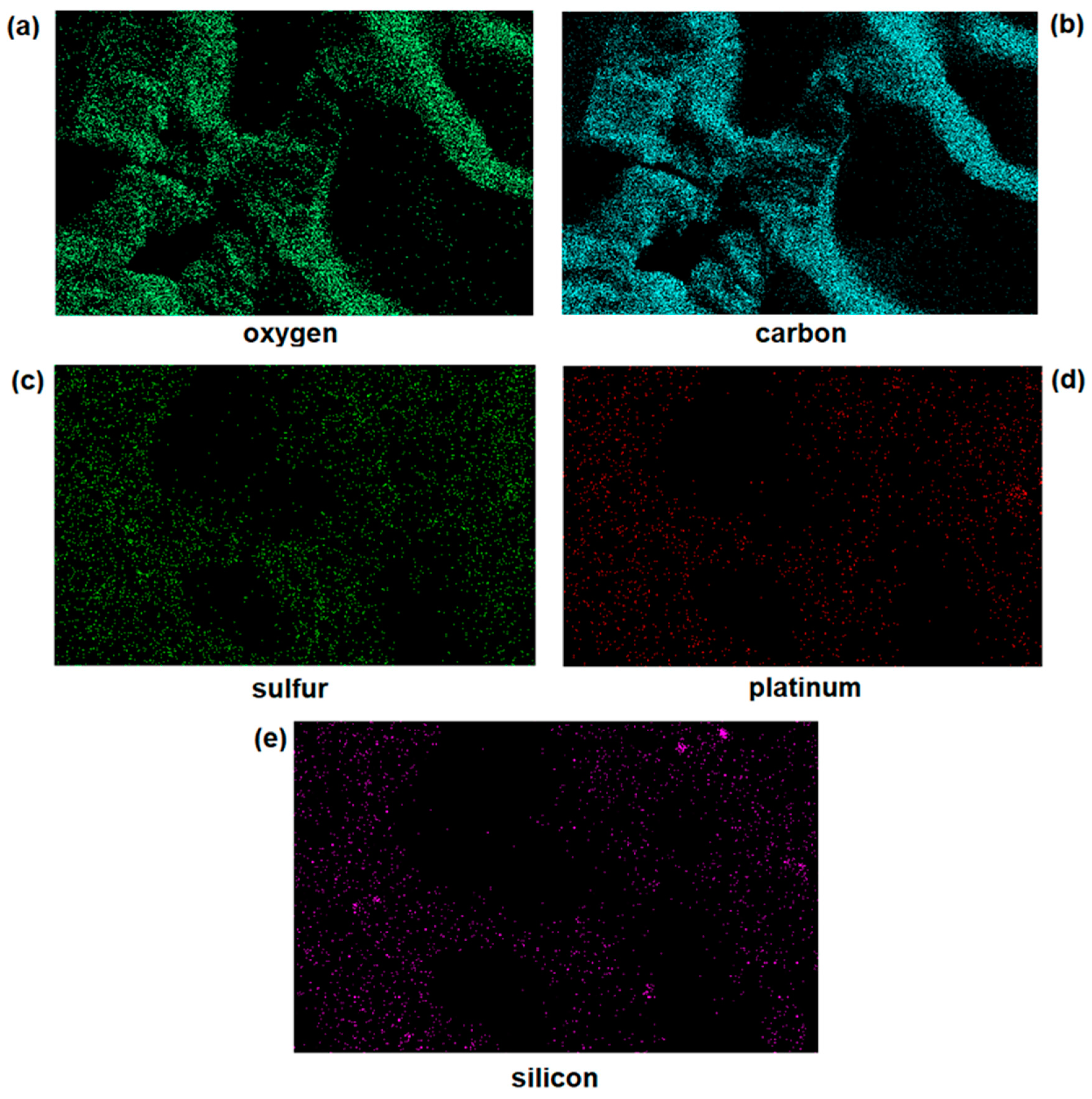 Pharmaceutics 14 02837 g004