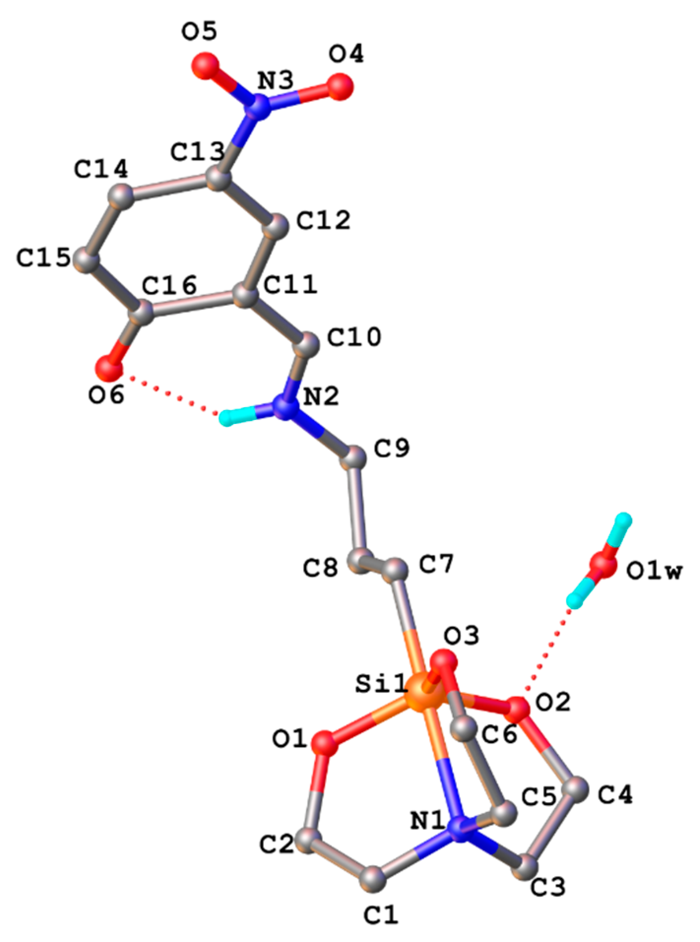 Pharmaceutics 14 02838 g001