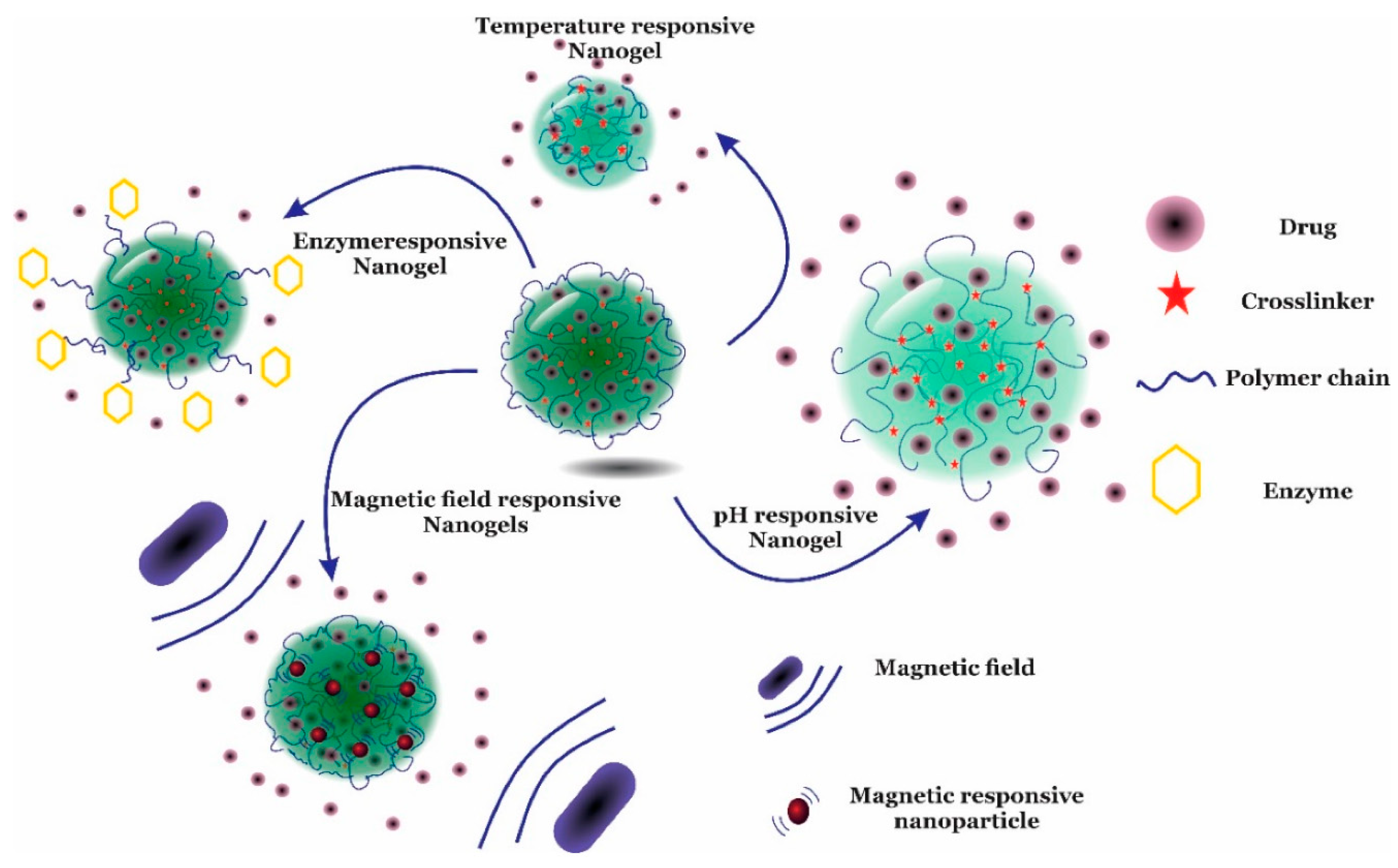 Pharmaceutics 14 02839 g003 Pharmaceutics 14 02839 g003