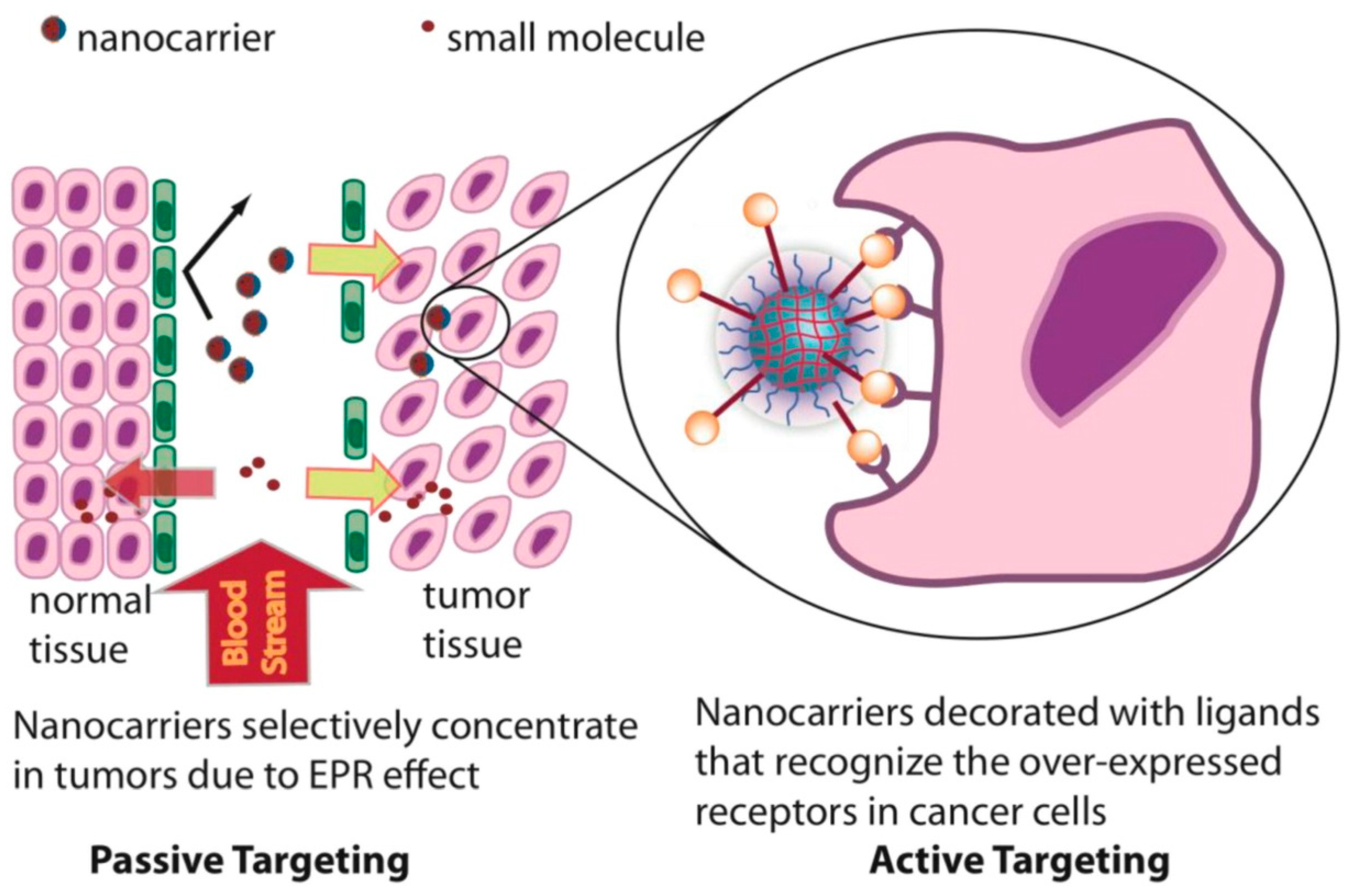 Pharmaceutics 14 02839 g005 Pharmaceutics 14 02839 g005